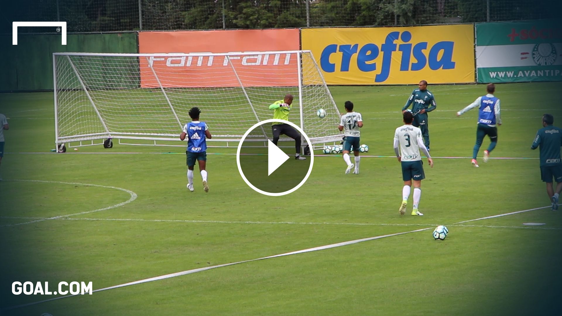 treino_palmeiras_junho