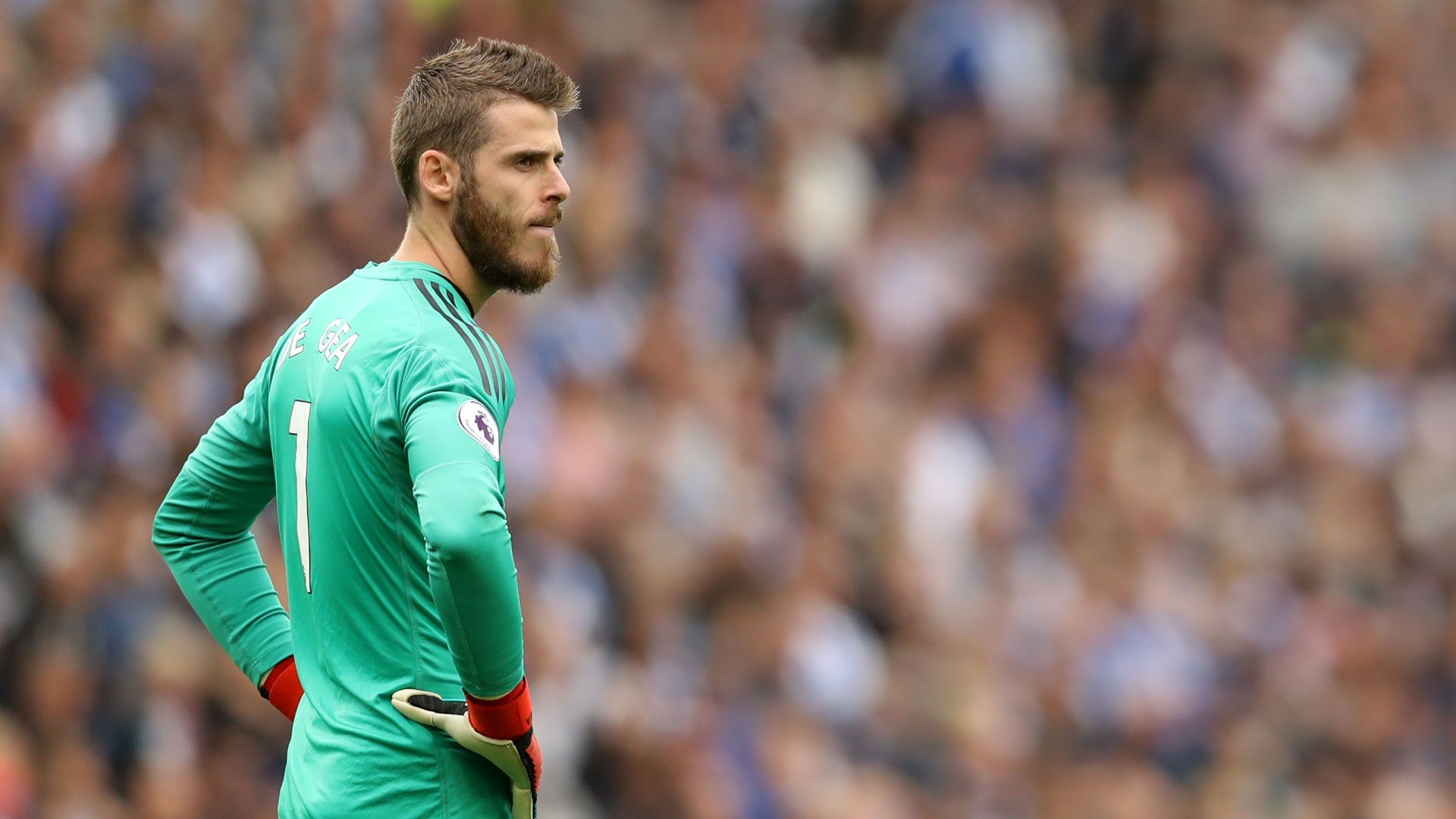 David de Gea Manchester United 2018-19