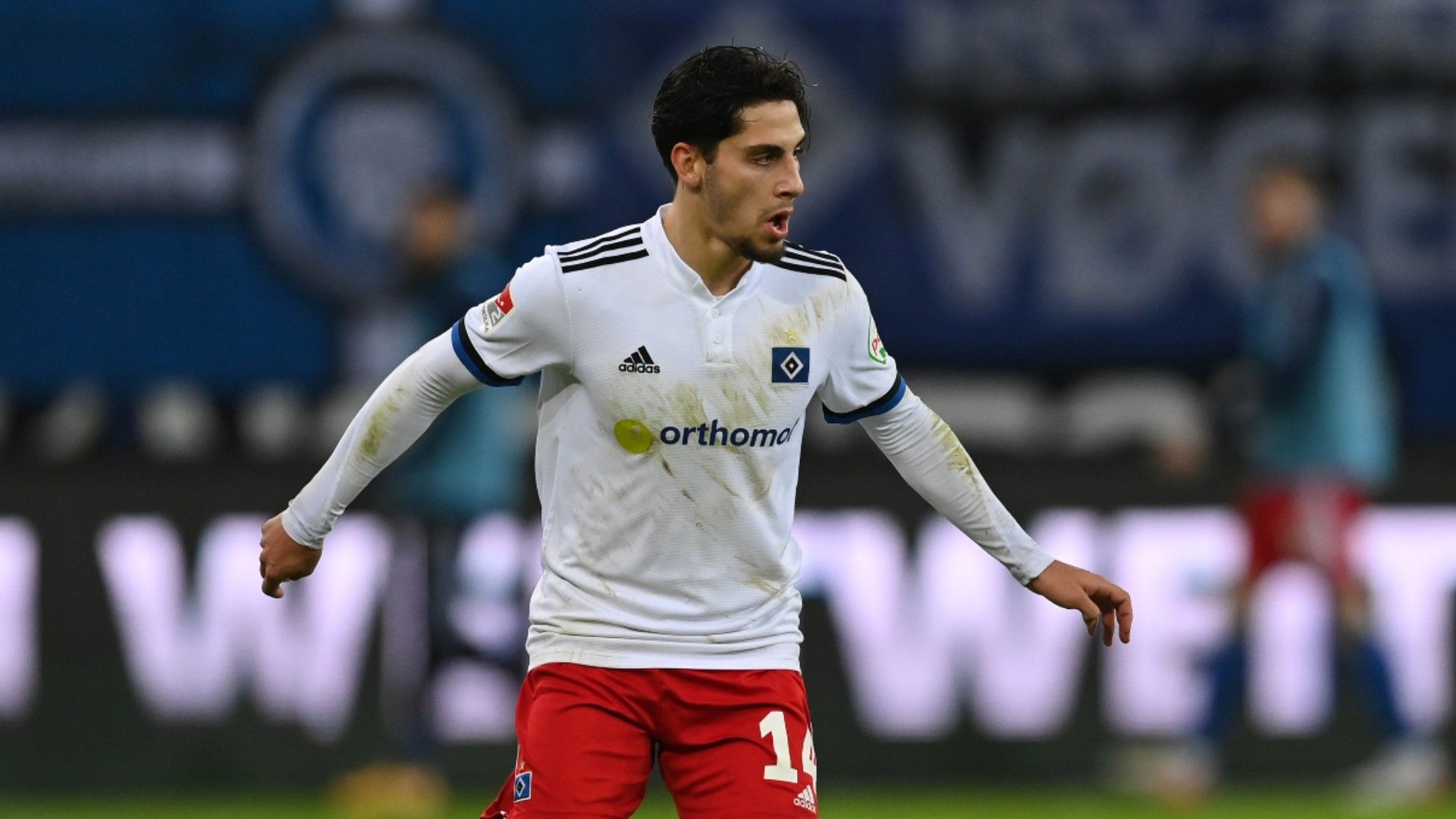 Ludovit Reis of Hamburg