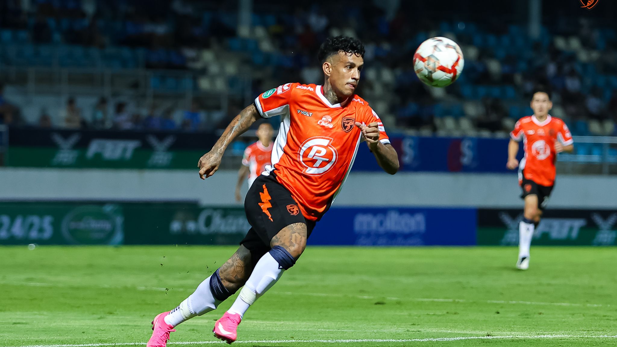 วานเดอร์ หลุยส์ 