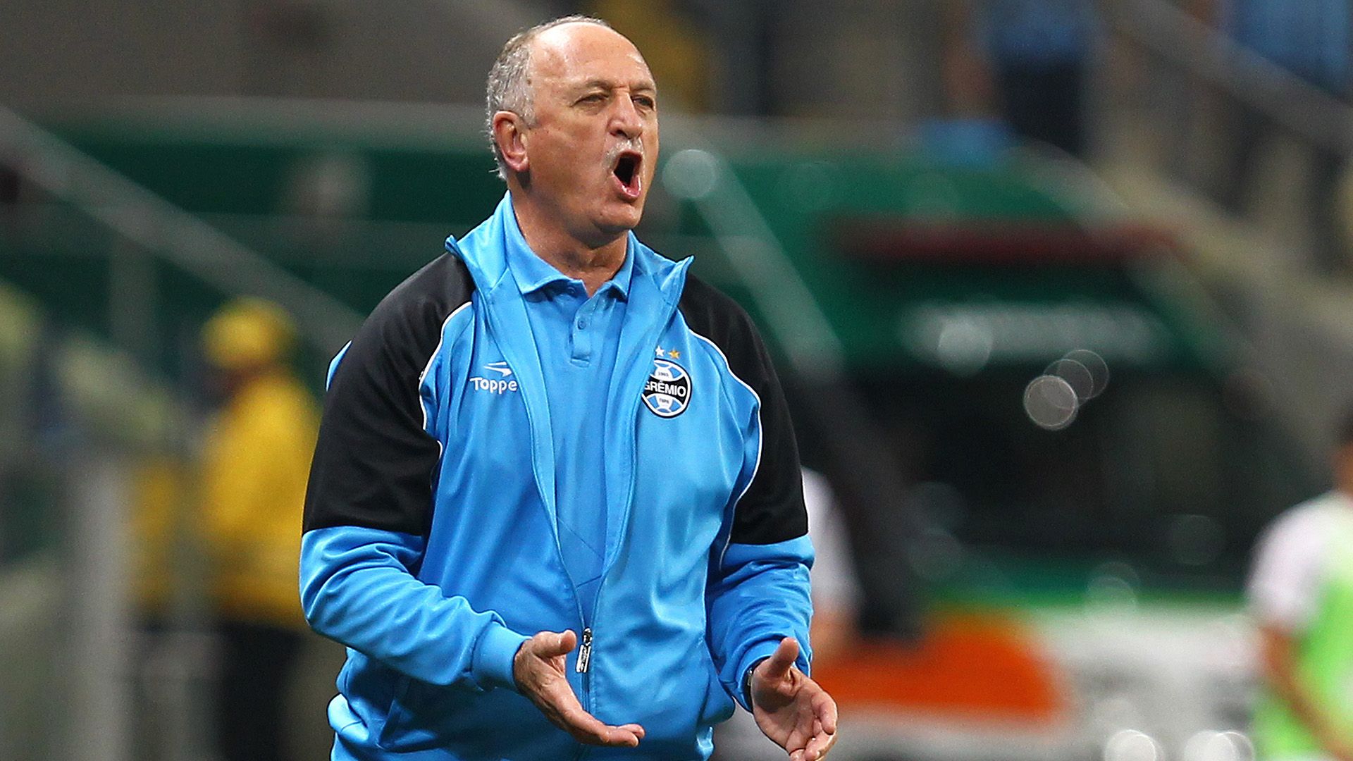 Luiz Felipe Scolari Gremio Santos Brasileirao 09182014