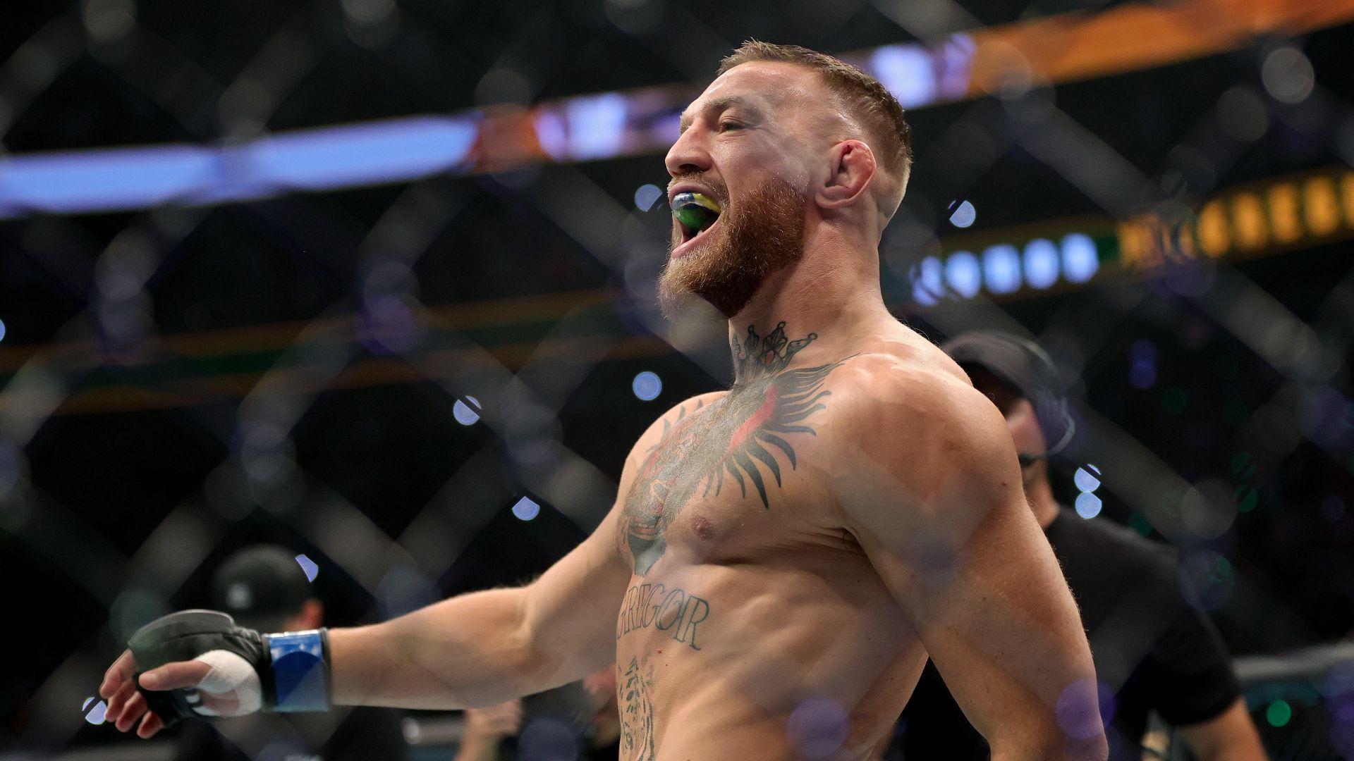 McGregor　ufc