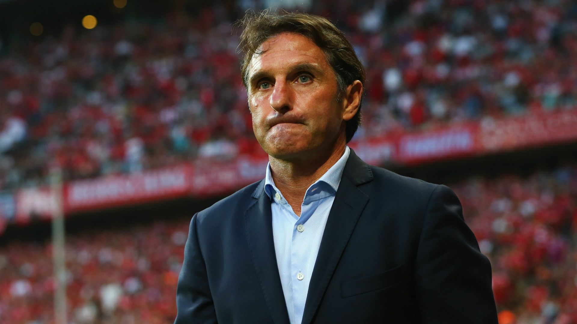 Bruno Labbadia FC Bayern Munchen Hamburger SV Bundesliga 14082015