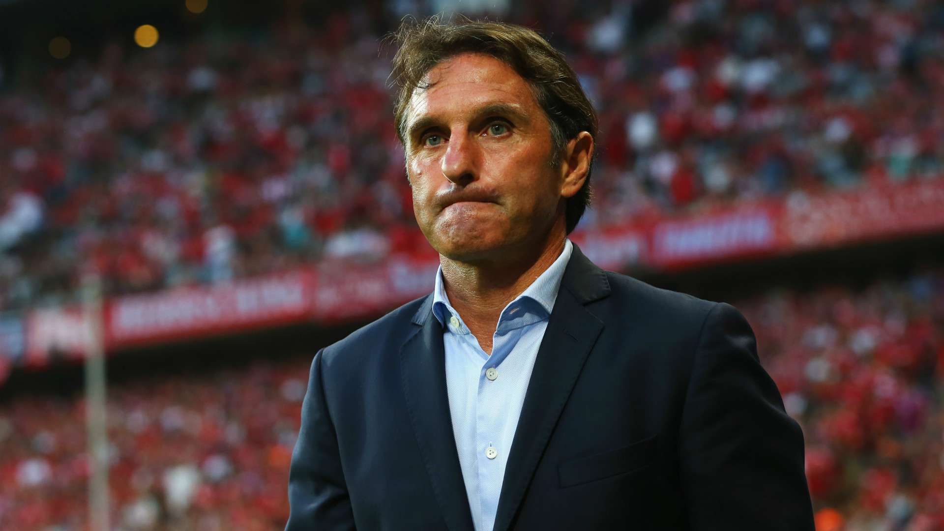 Bruno Labbadia FC Bayern Munchen Hamburger SV Bundesliga 14082015