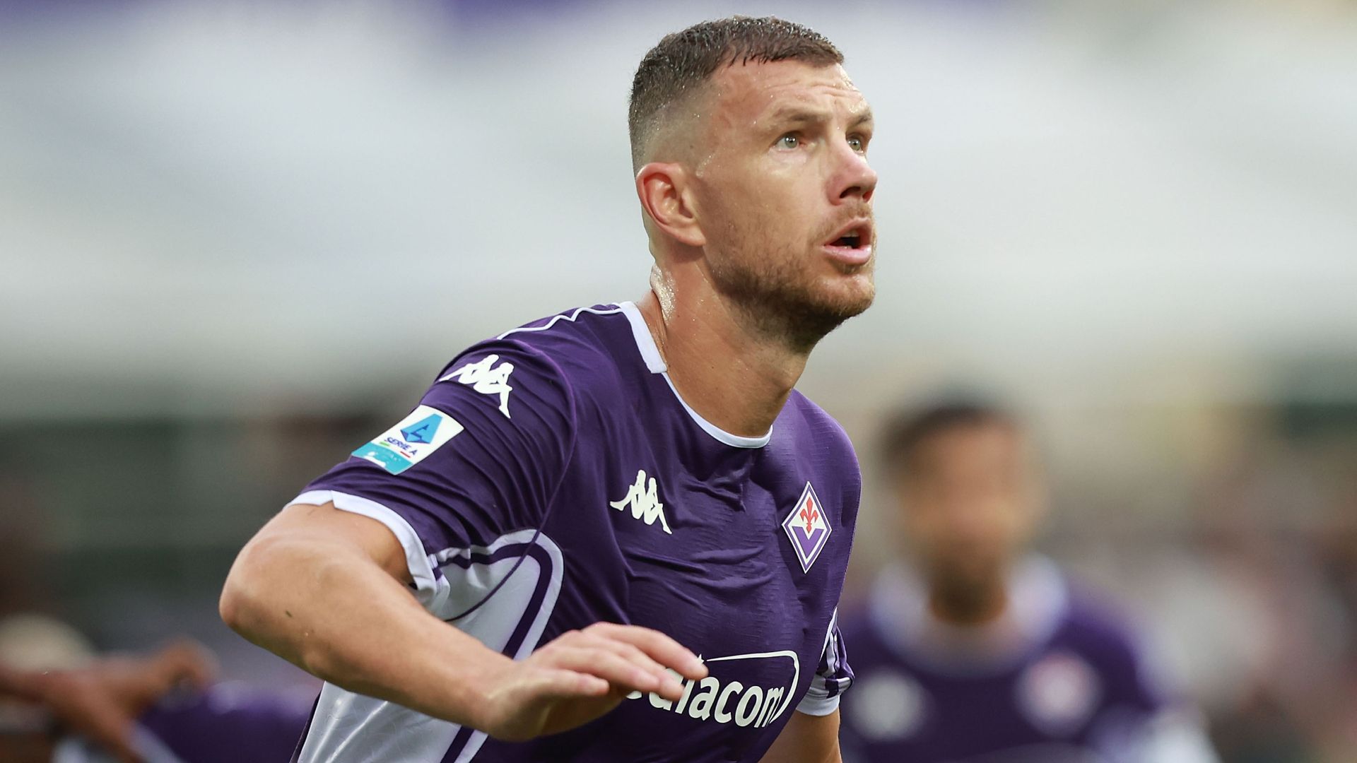 Edin Dzeko Fiorentina