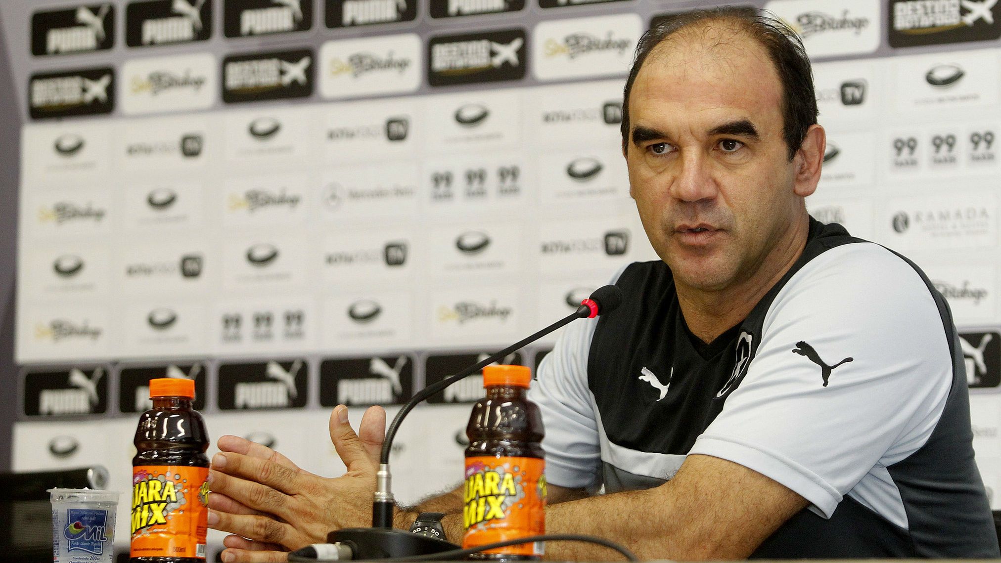 Ricardo Gomes Botafogo 31072015