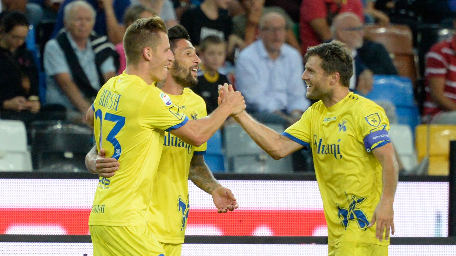 Valter Birsa, Udinese, Chievo, Serie A, 20082017