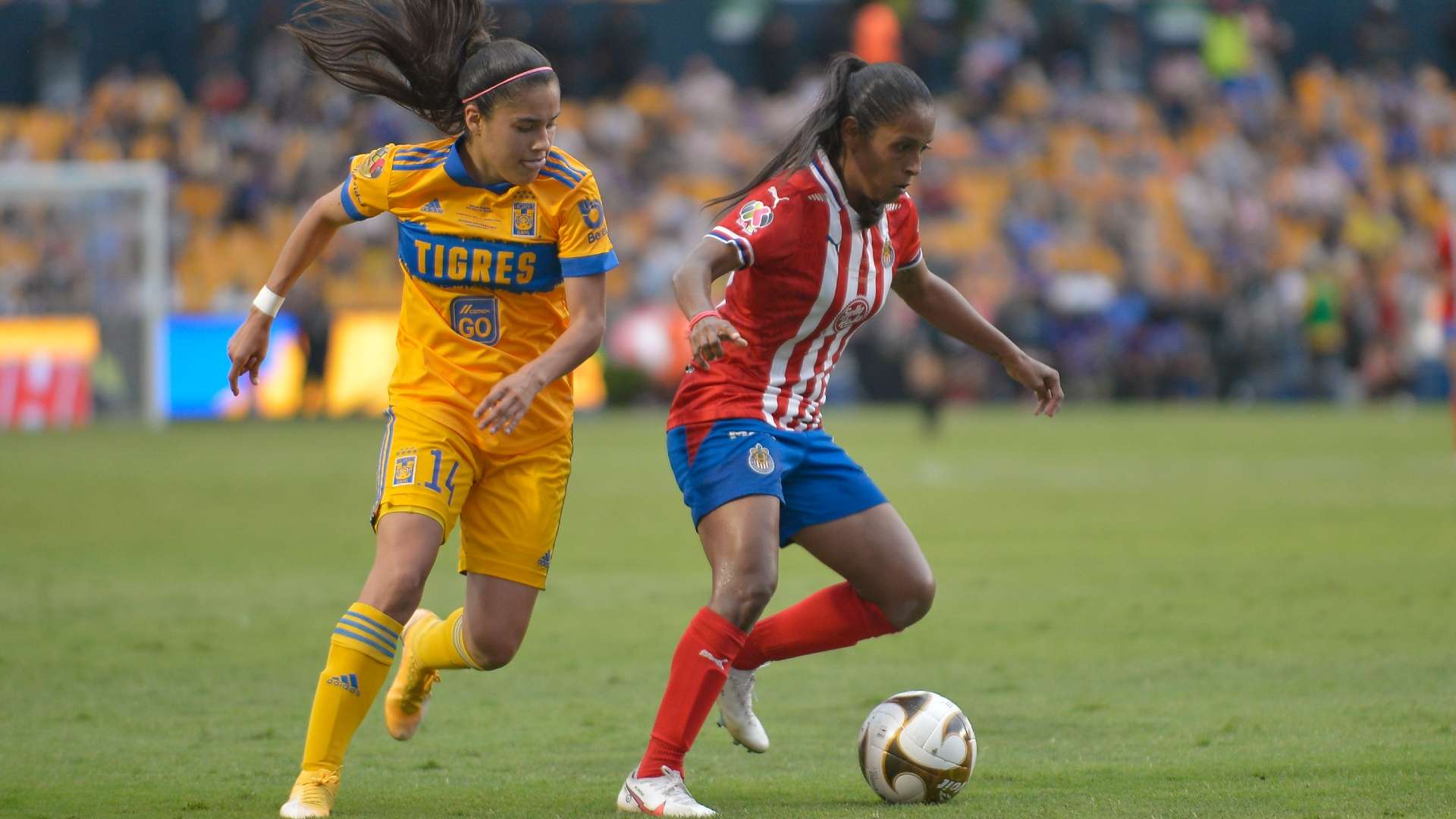 Tigres Chivas Liga MX Femenil