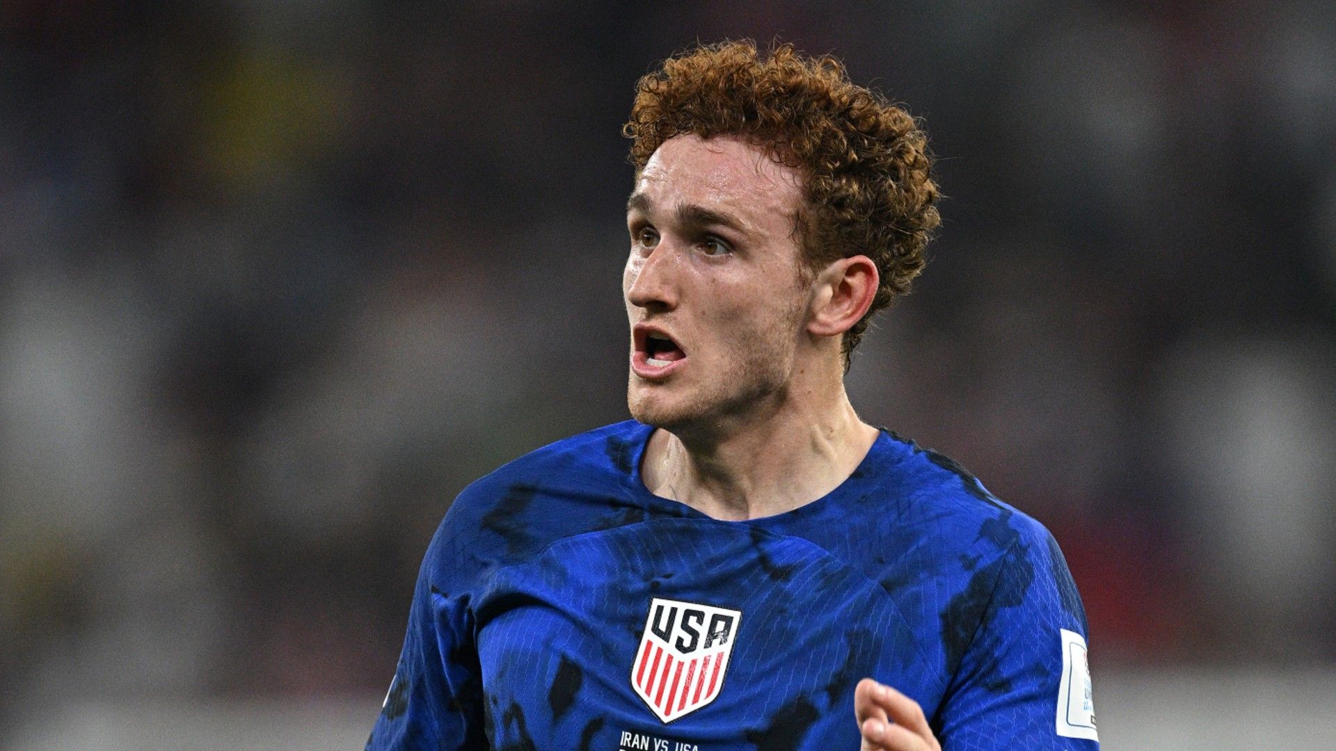 josh sargent-usa-20221129