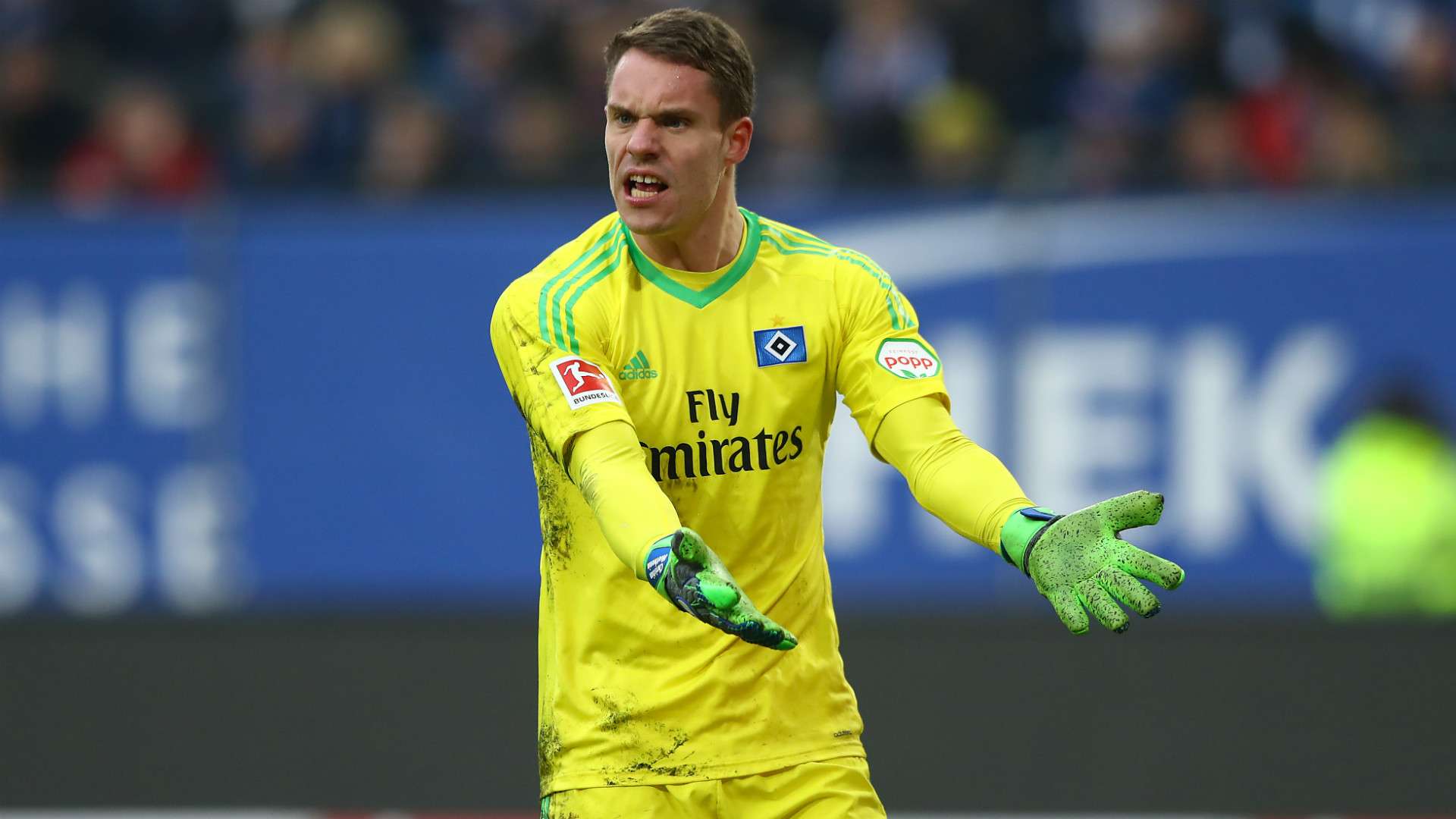 Christian Mathenia Hamburger SV Bayer Leverkusen Bundesliga 17022018