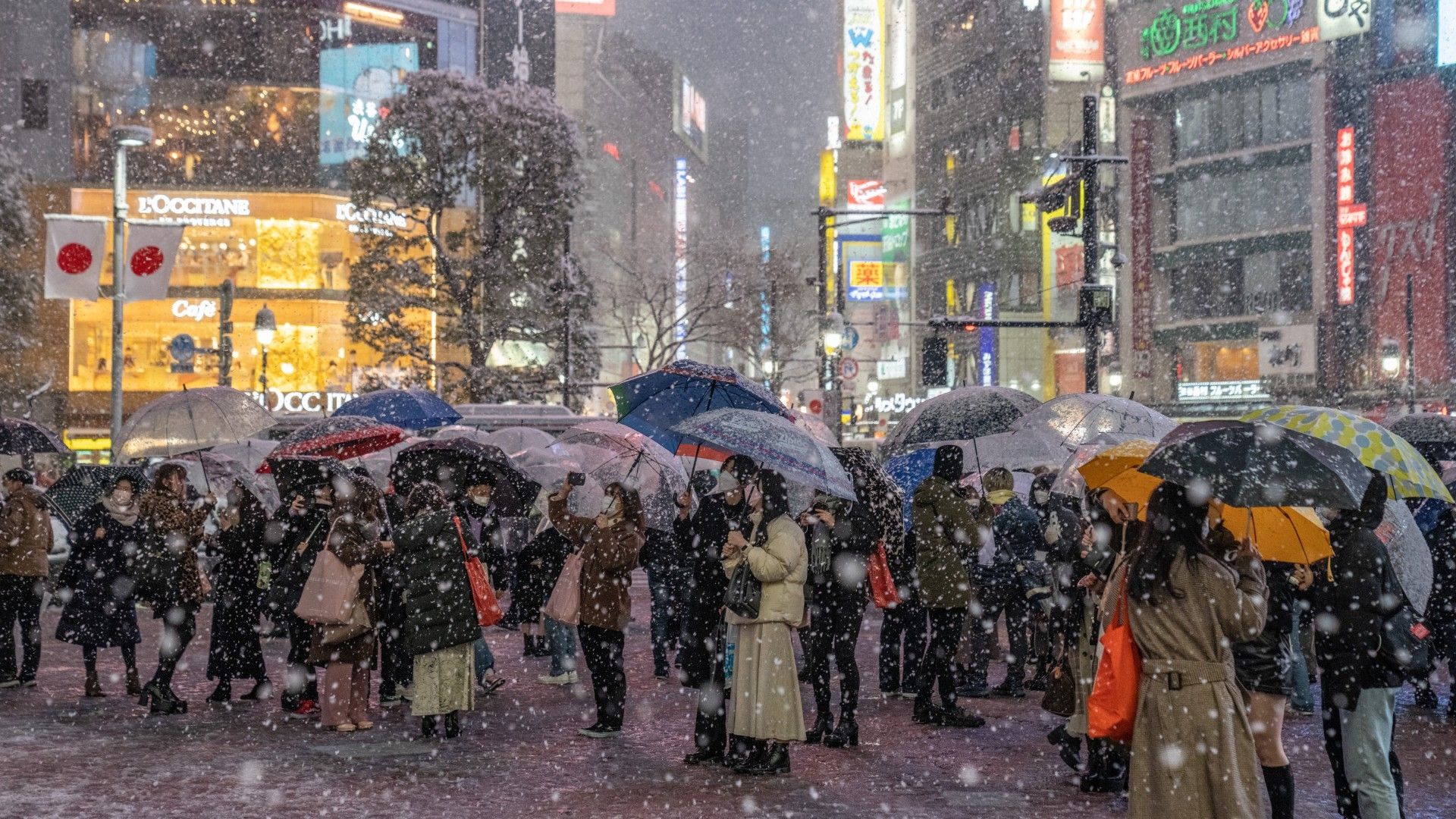 Tokyo-shibuya-snow
