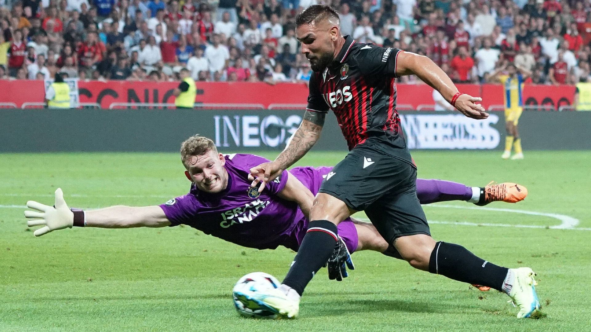 GERMANY ONLY: DANIEL PERETZ