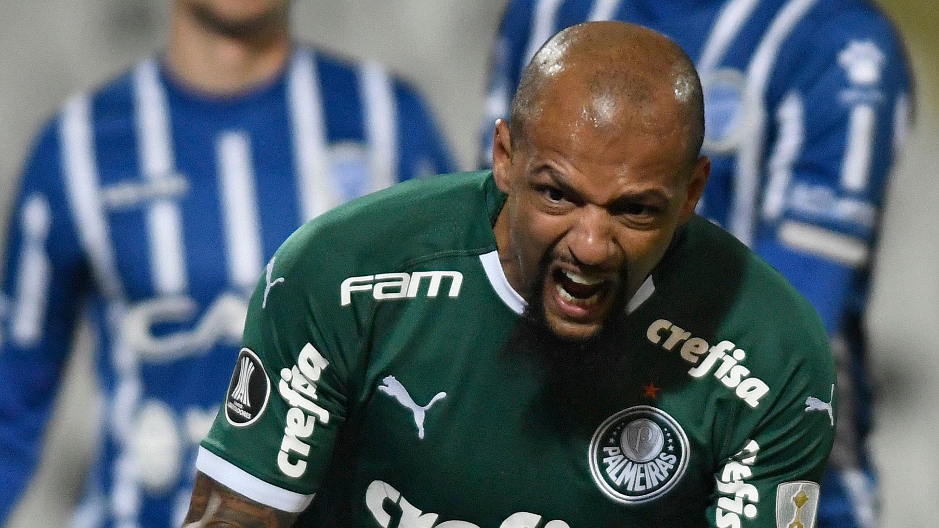 Felipe Melo Godoy Cruz Palmeiras Copa Libertadores 23072019