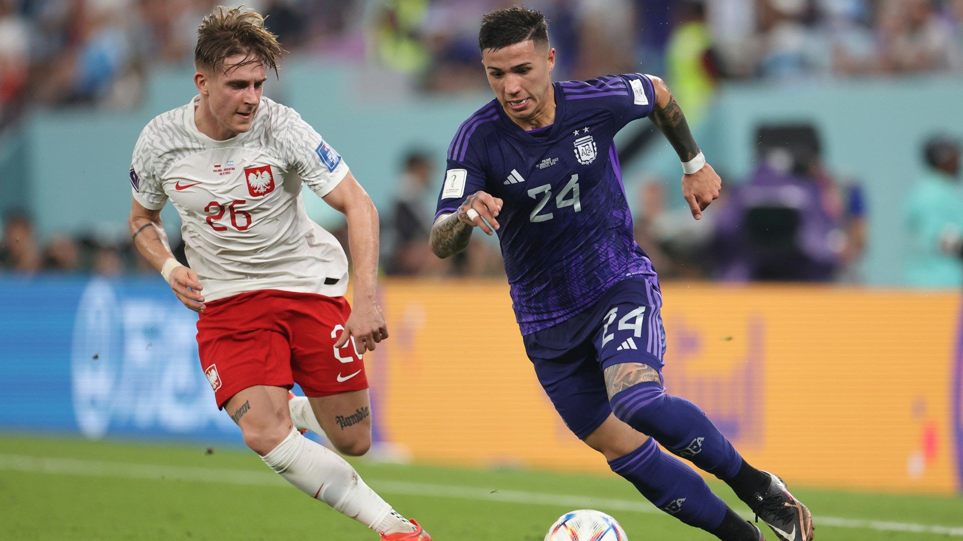 Skoras Enzo Poland Argentina