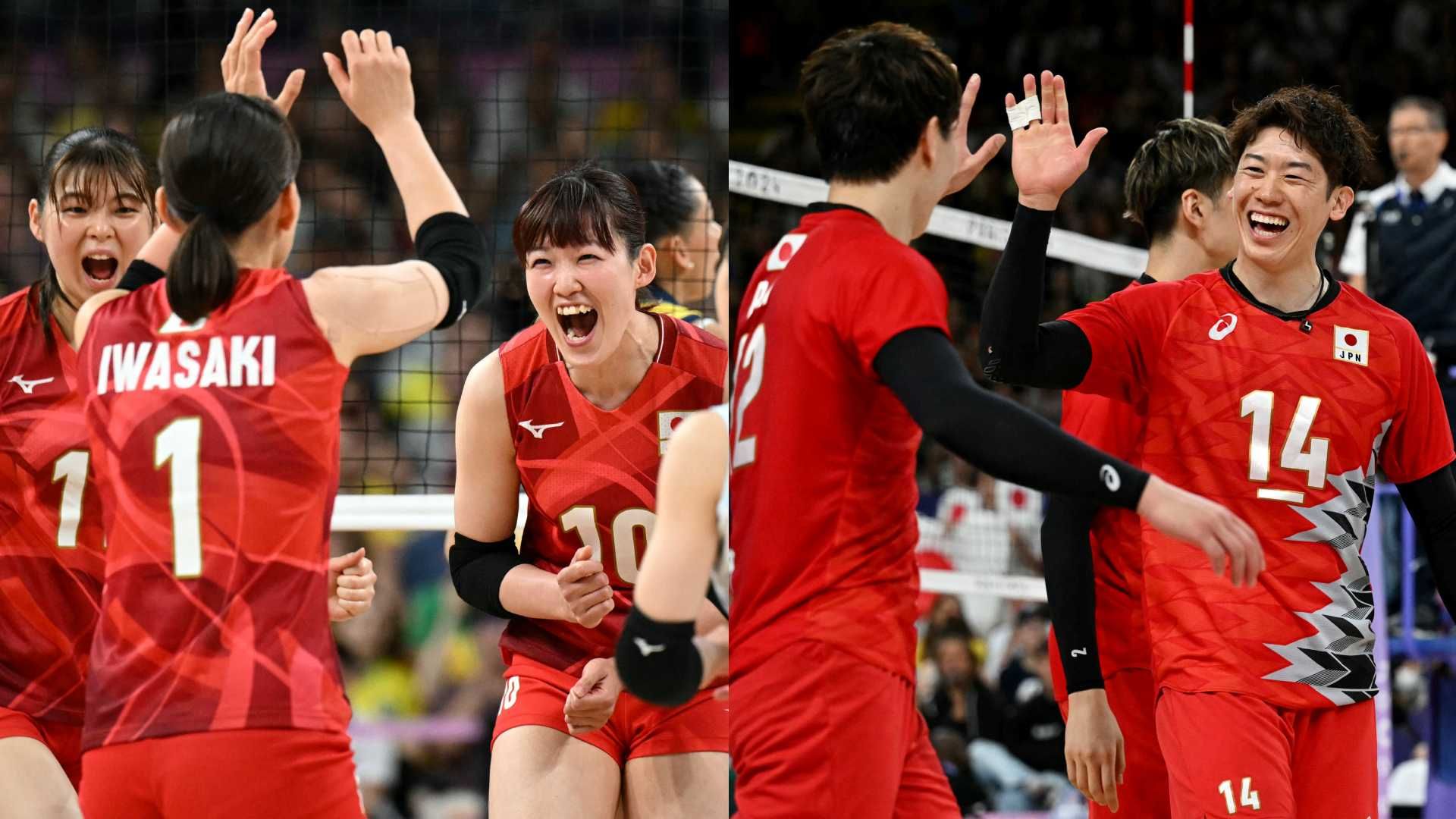 japan volleyball