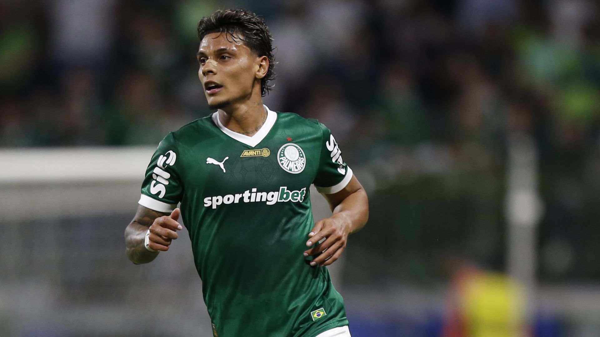 Richard Rios Palmeiras
