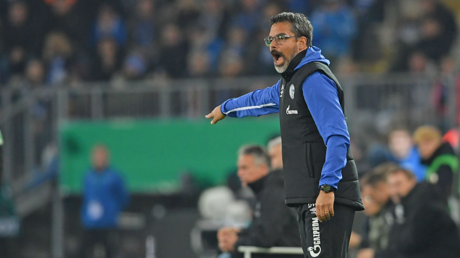 David Wagner Schalke 04 2019