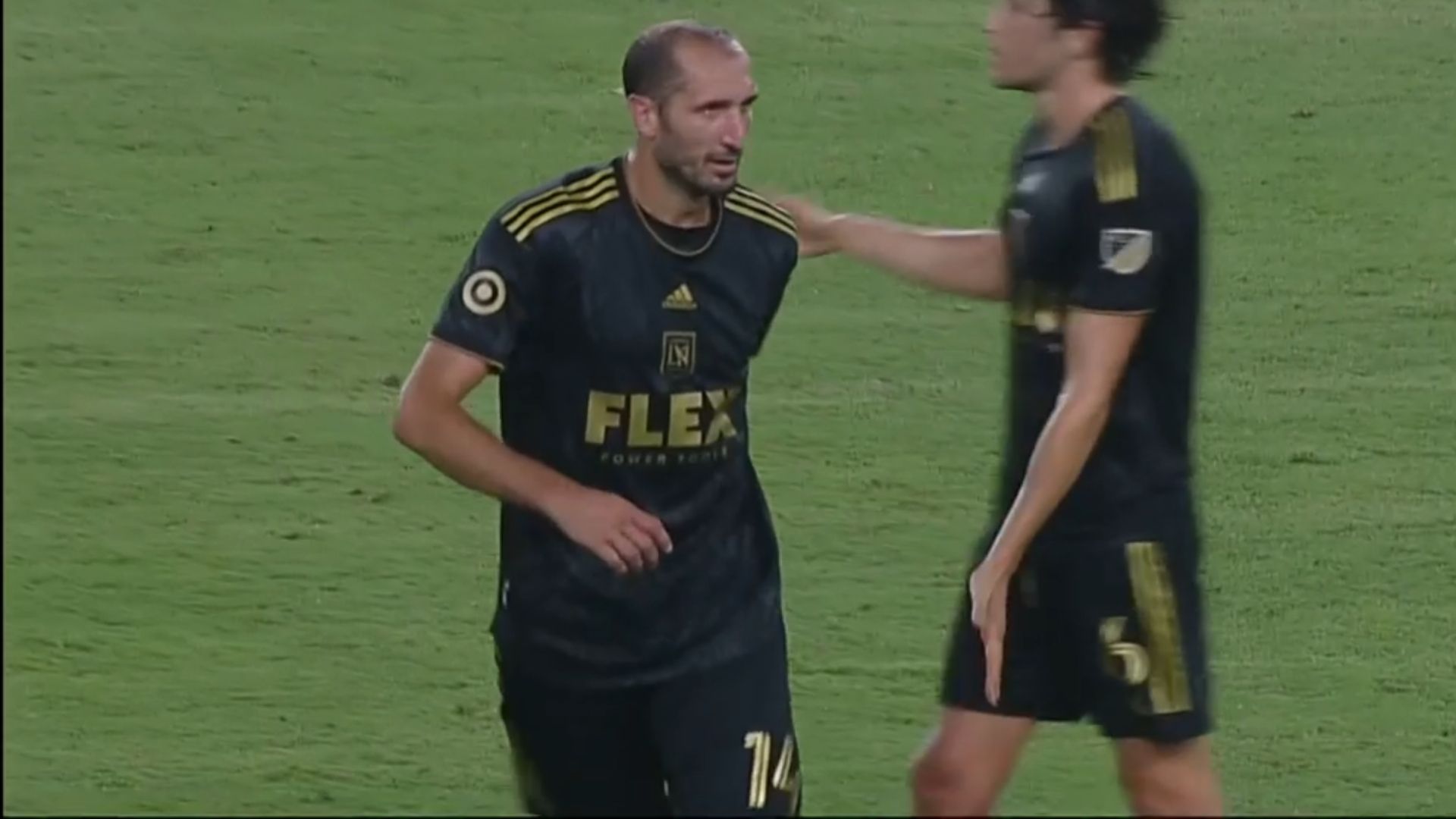 Chiellini Los Angeles FC