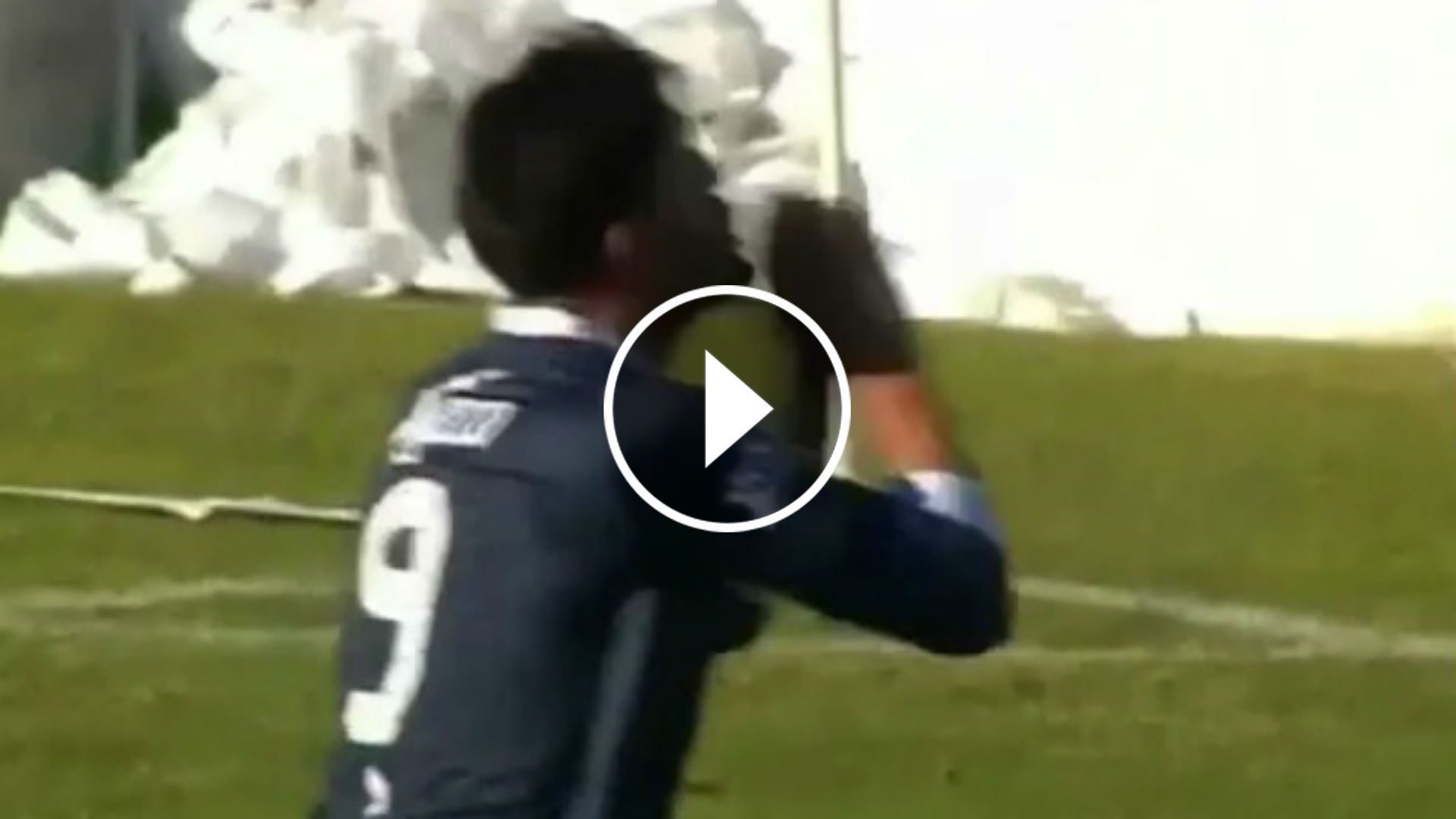 Captura Brown de Madryn