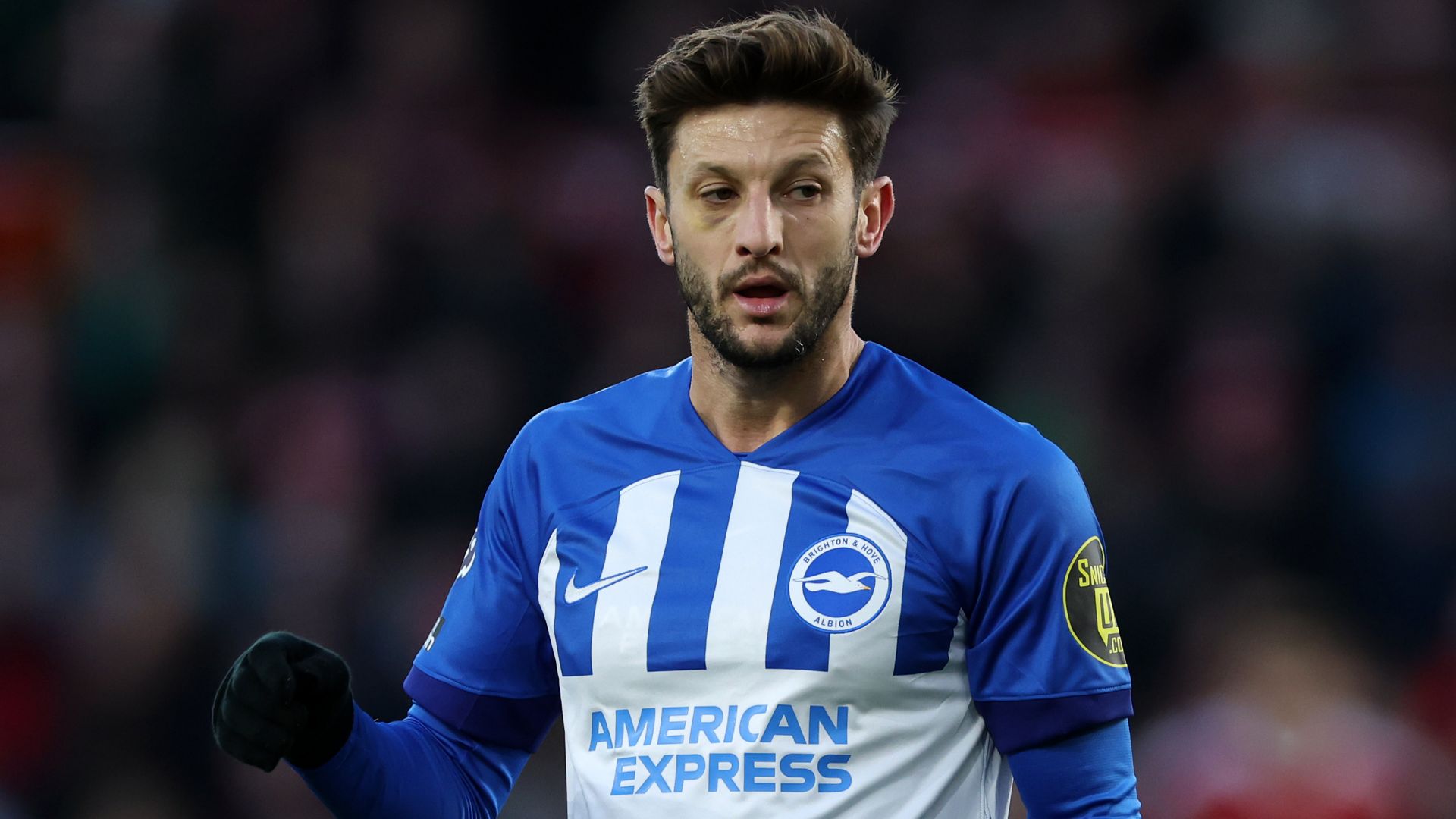 Adam Lallana Brighton 2023-24