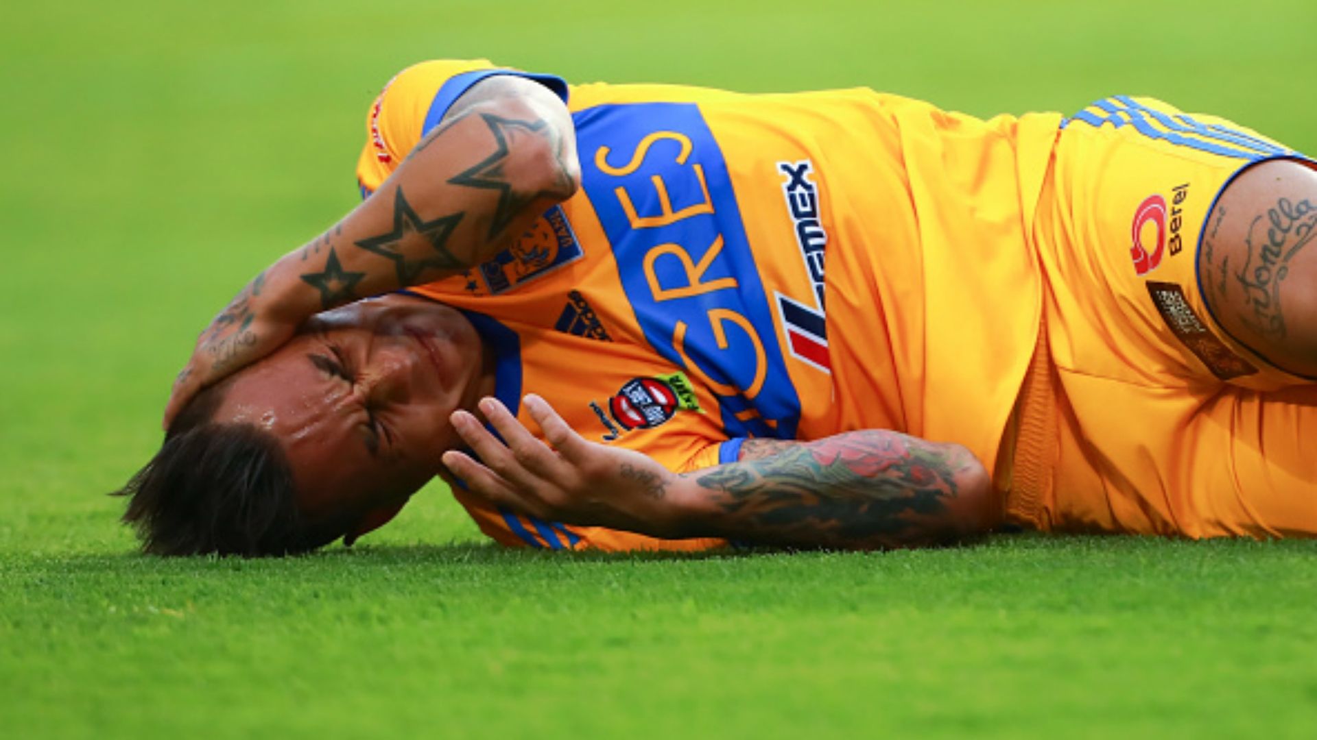 Eduardo Vargas Tigres