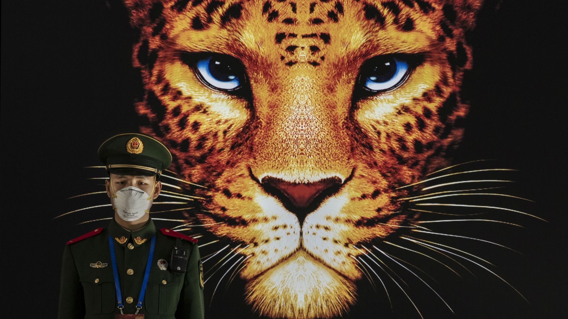 Coronavirus in China