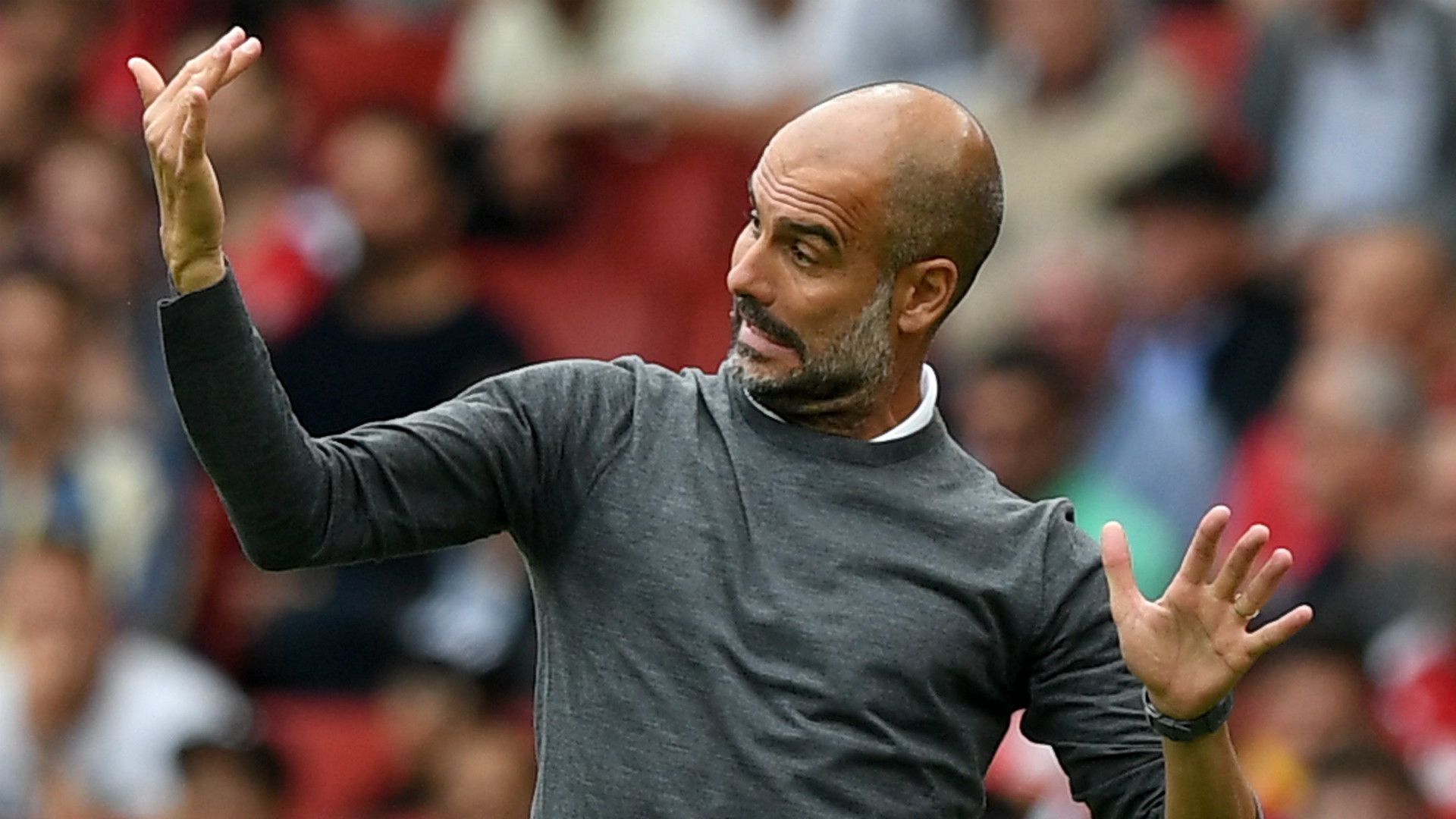 Pep Guardiola Manchester City 2018-19