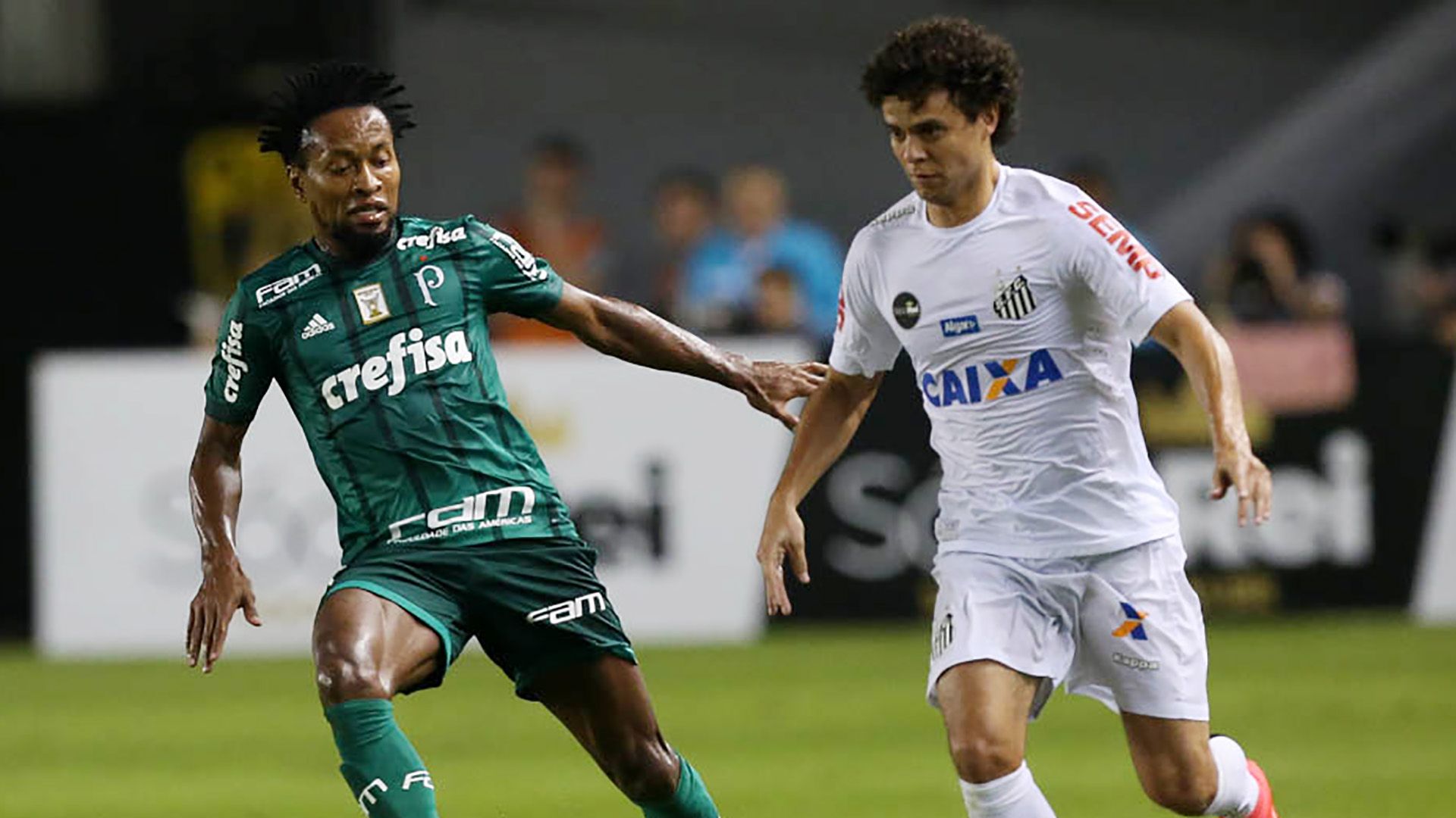Victor Ferraz Ze Roberto Santos Palmeiras Brasileirao Serie A 14062017