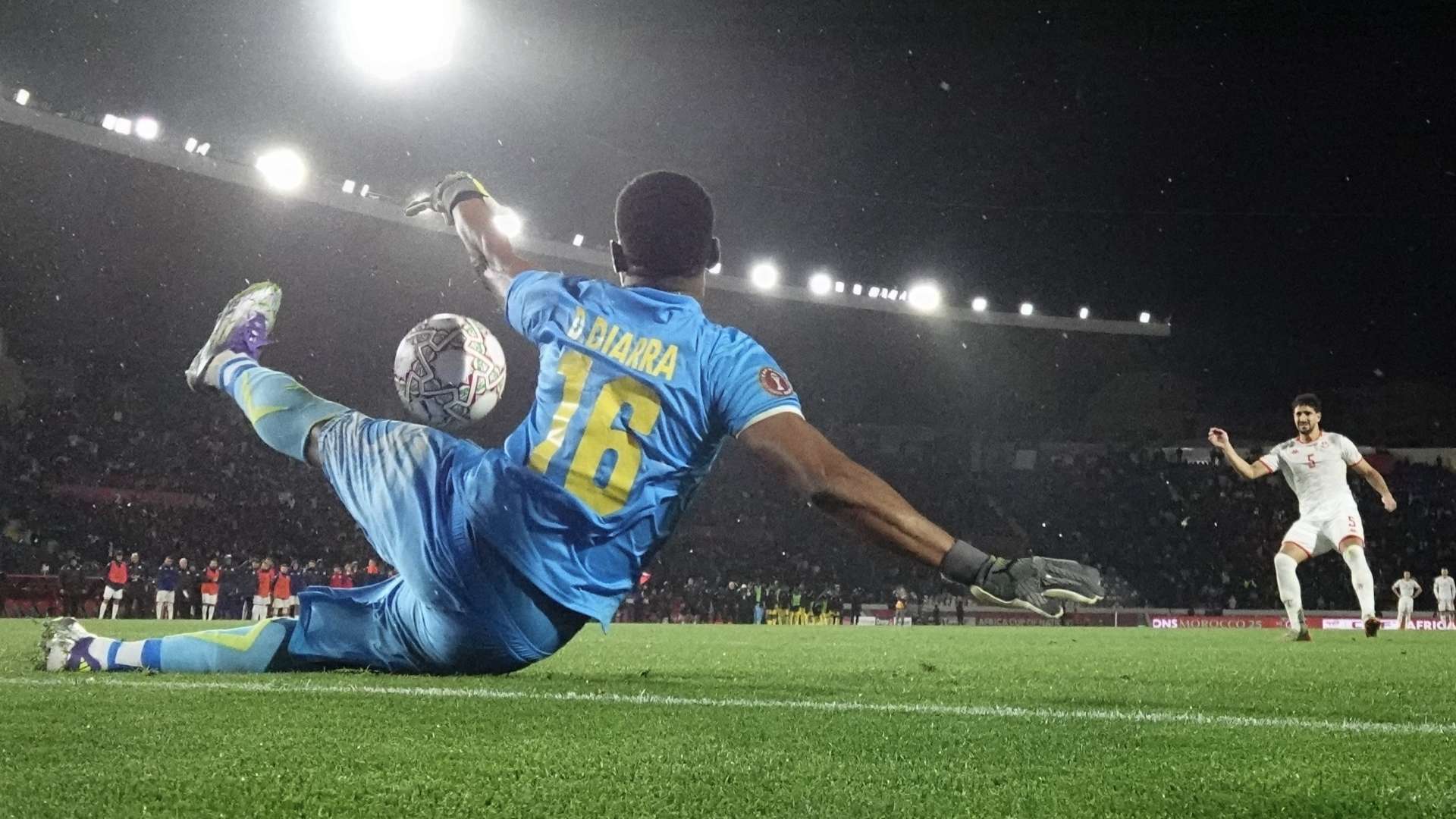 Djigui Diarra, Mali vs Tunisia