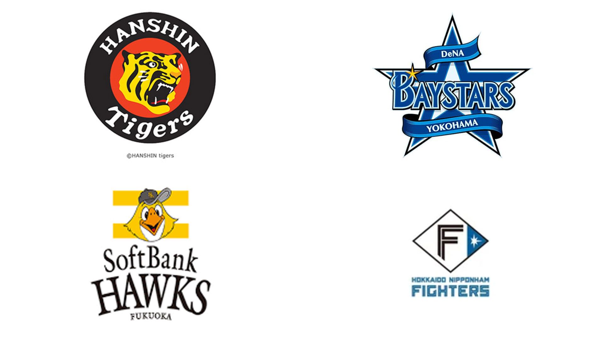 climaxseries finalstage 2025