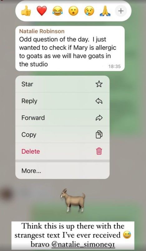 Mary Earps goat question