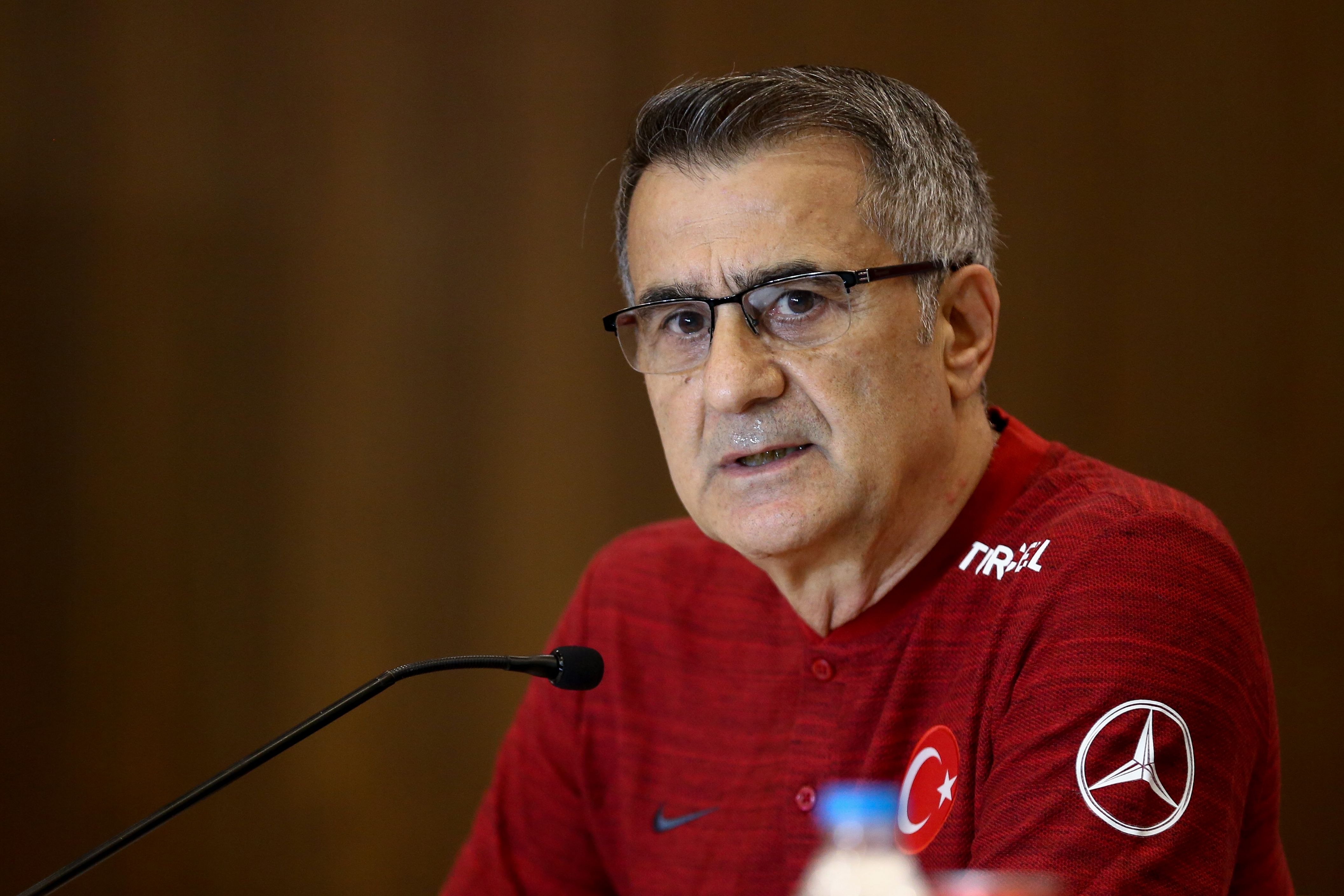 Senol Gunes Turkey Coach