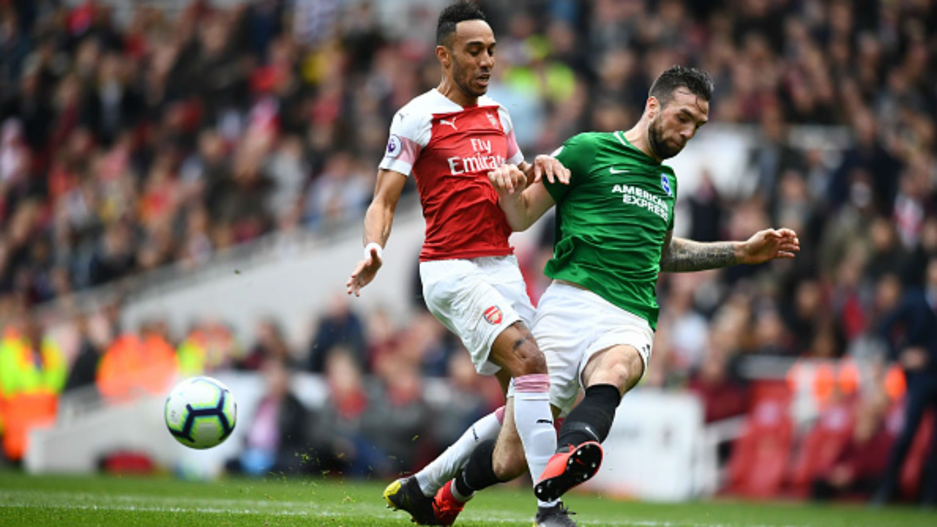 Pierre-Emerick Aubameyang Shane Duffy Arsenal Brighton & Hove Albion Premier League