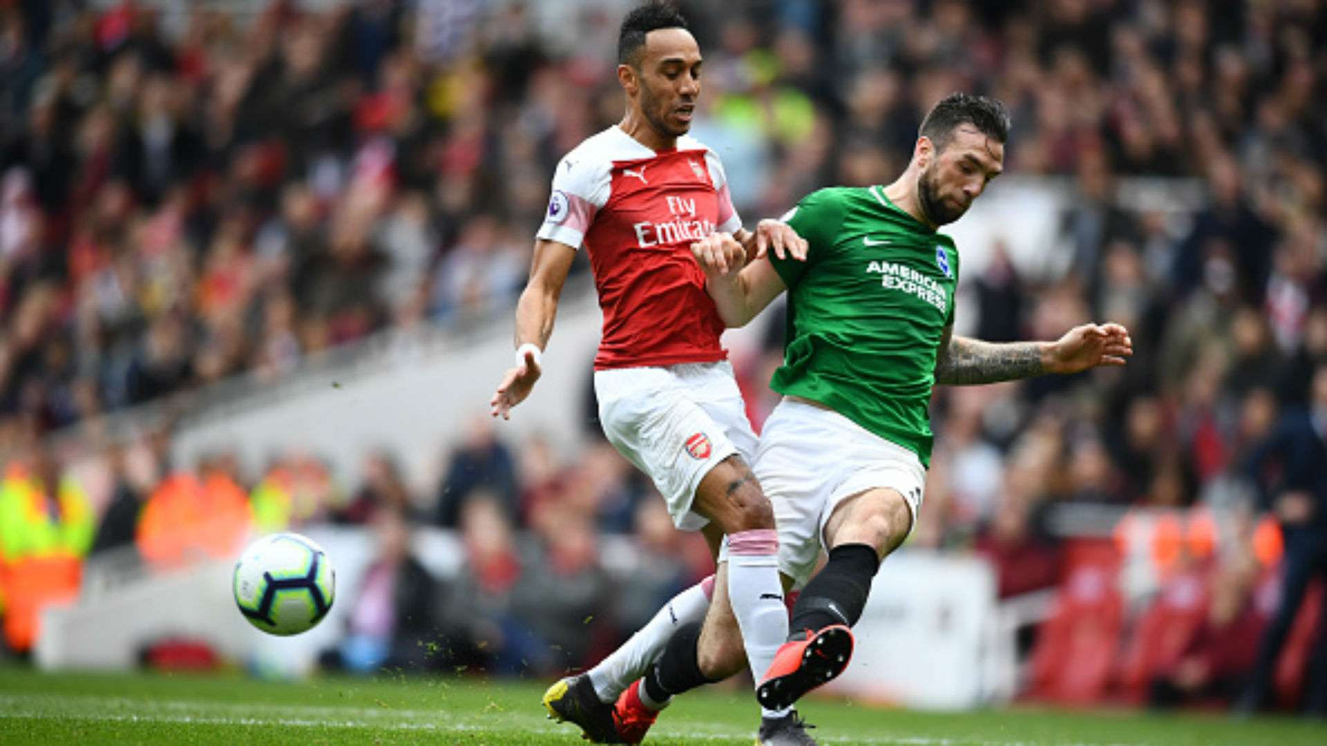 Pierre-Emerick Aubameyang Shane Duffy Arsenal Brighton & Hove Albion Premier League