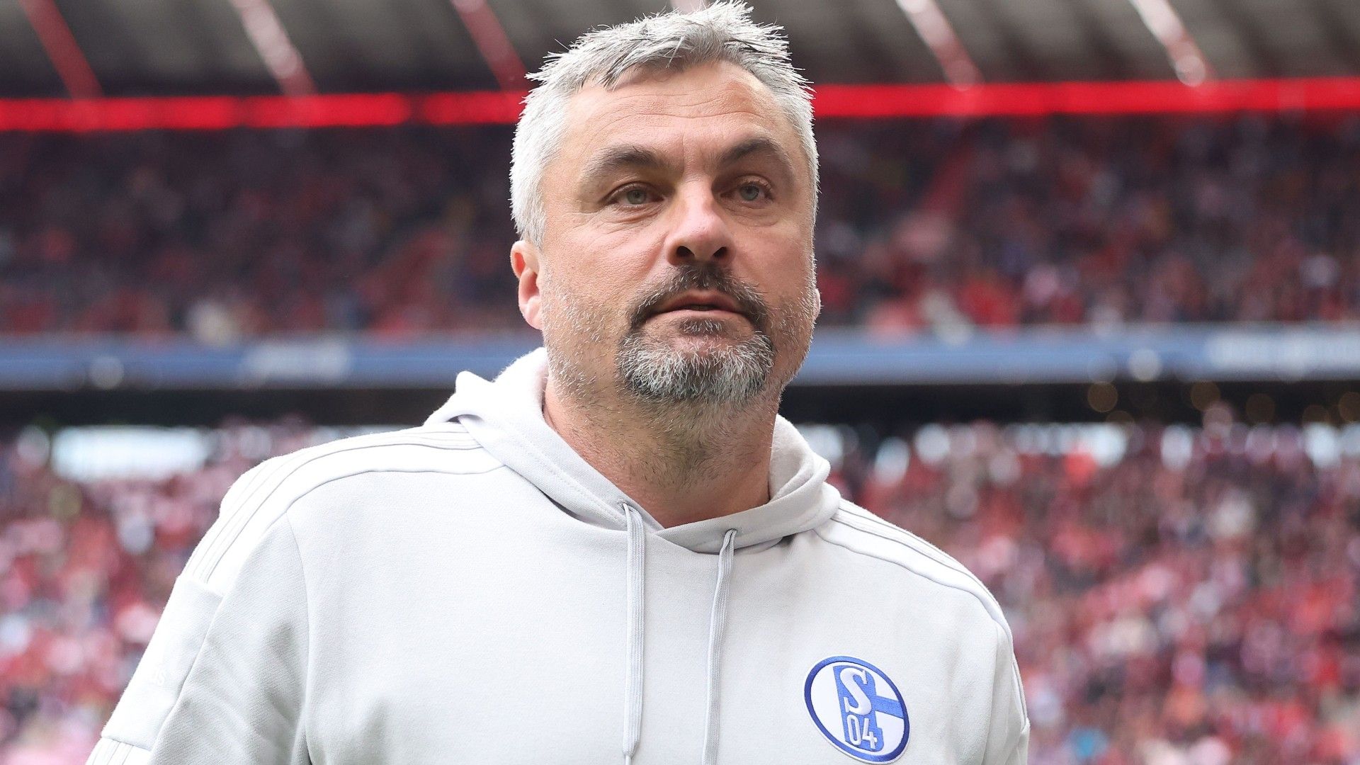 Thomas Reis, Head Coach of FC Schalke 04