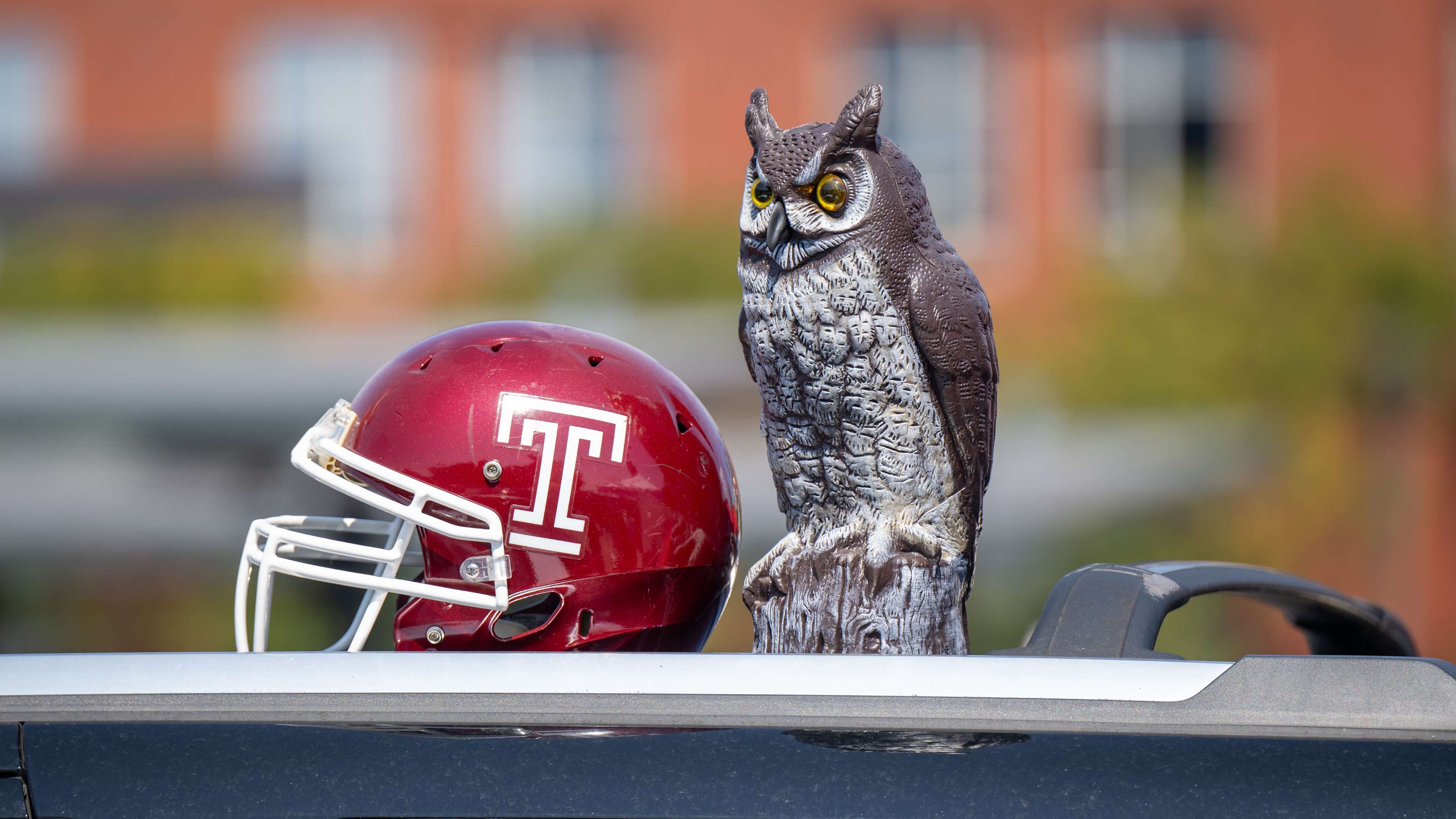 temple owls NCAAF 2024