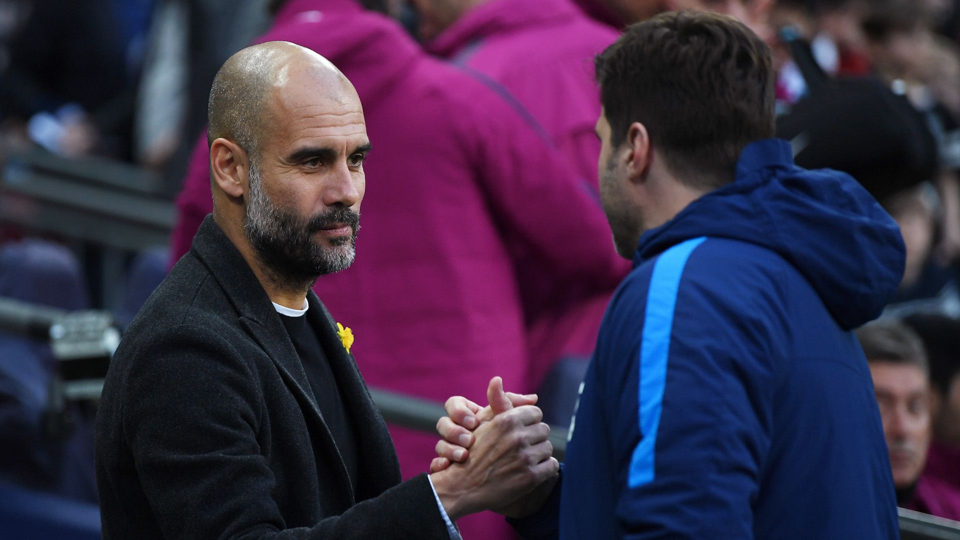Pep Guardiola & Mauricio Pochettino