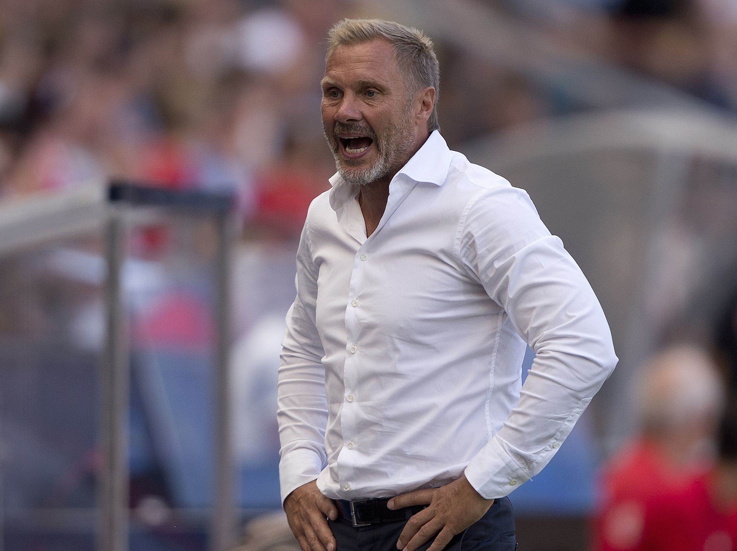Thorsten Fink Austria Wien 082015