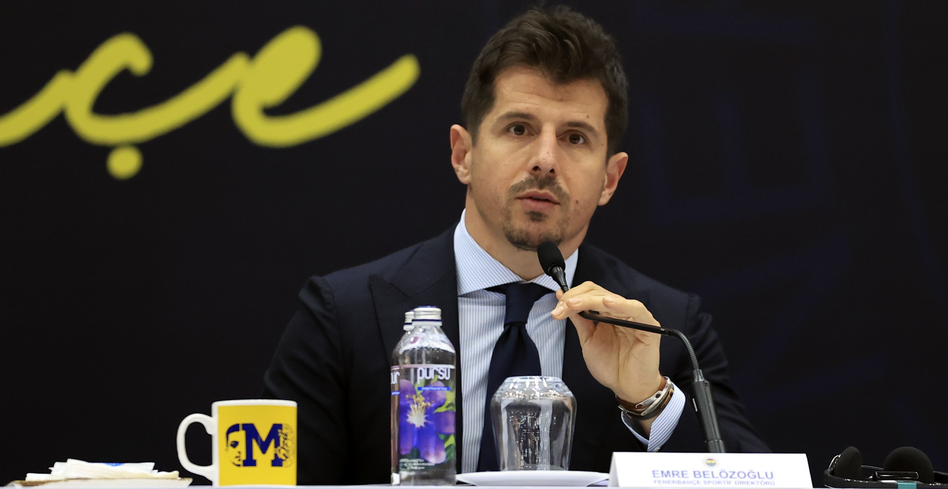 Emre Belozoglu Fenerbahce Director of Football