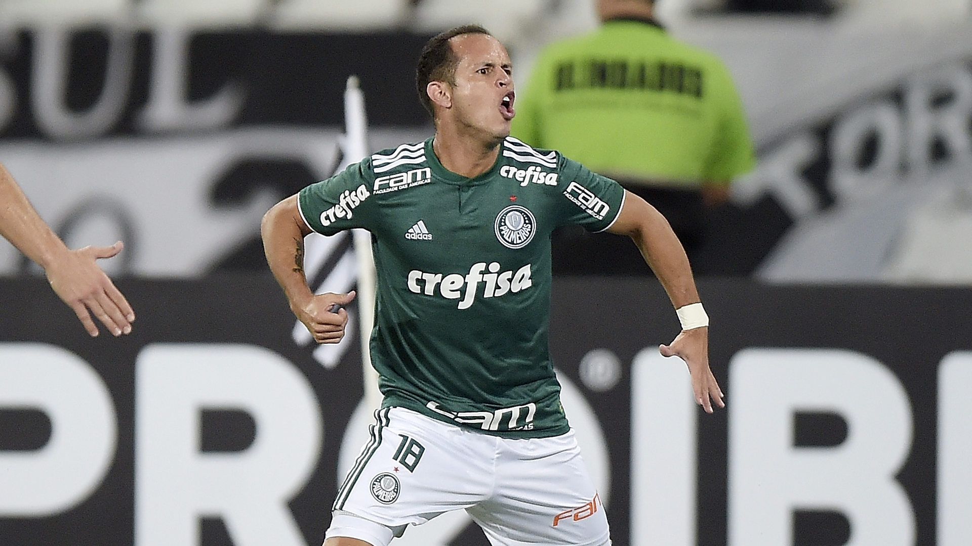Alejandro Guerra Botafogo Palmeiras 16042018 Brasileirao Serie A