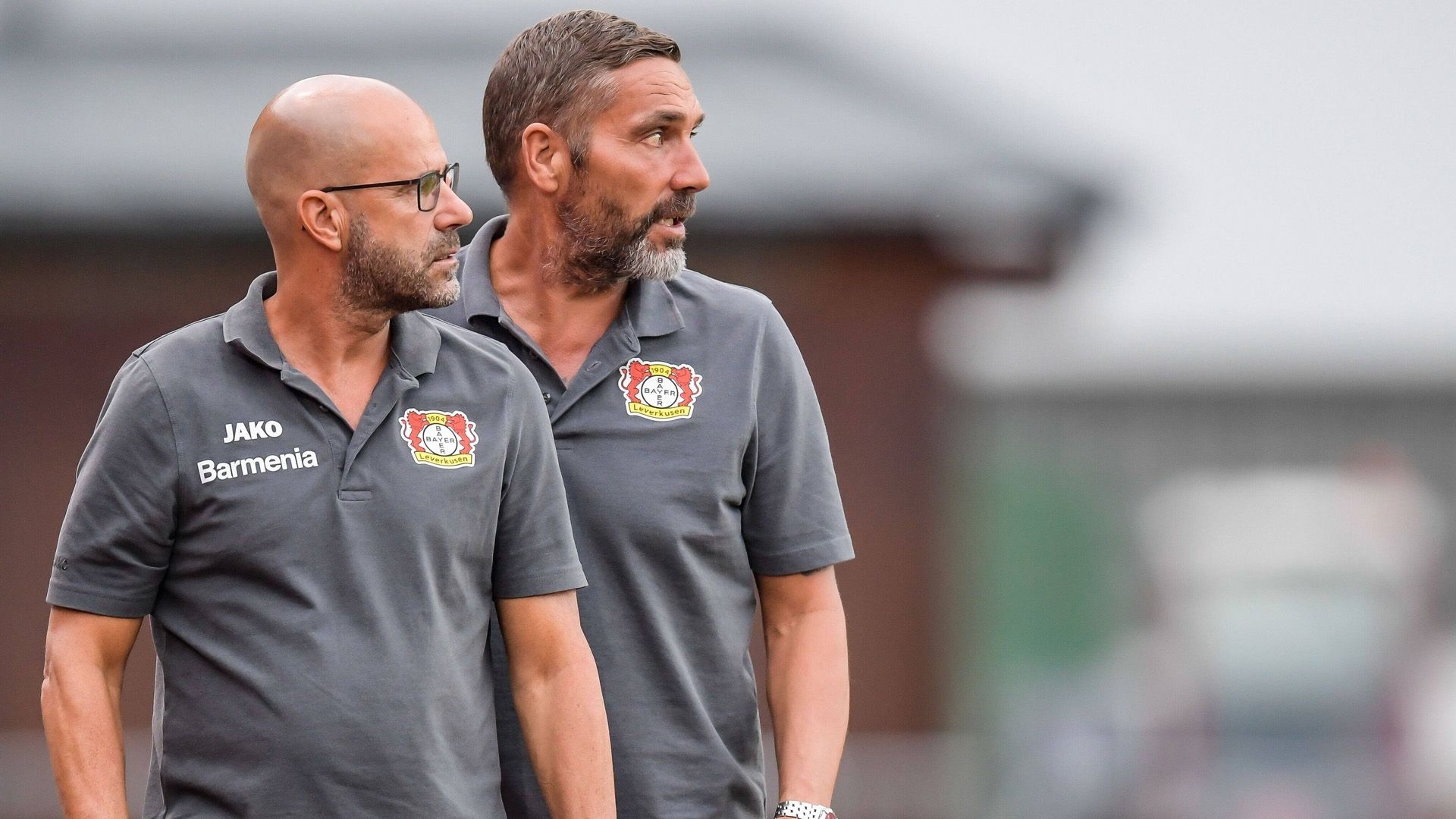 ONLY GERMANY Peter Bosz Hendrie Krüzen Leverkusen 2019