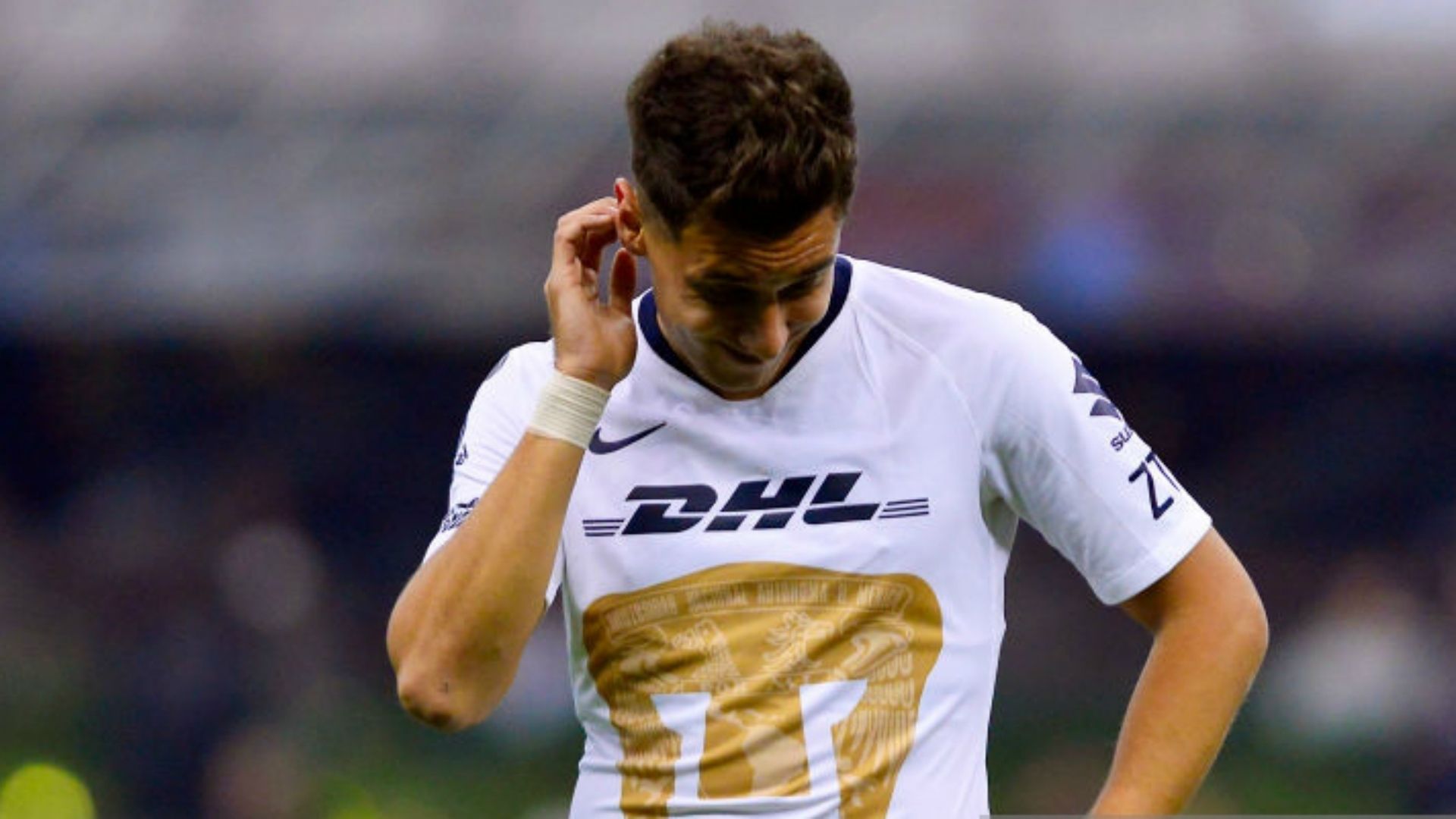 Pumas