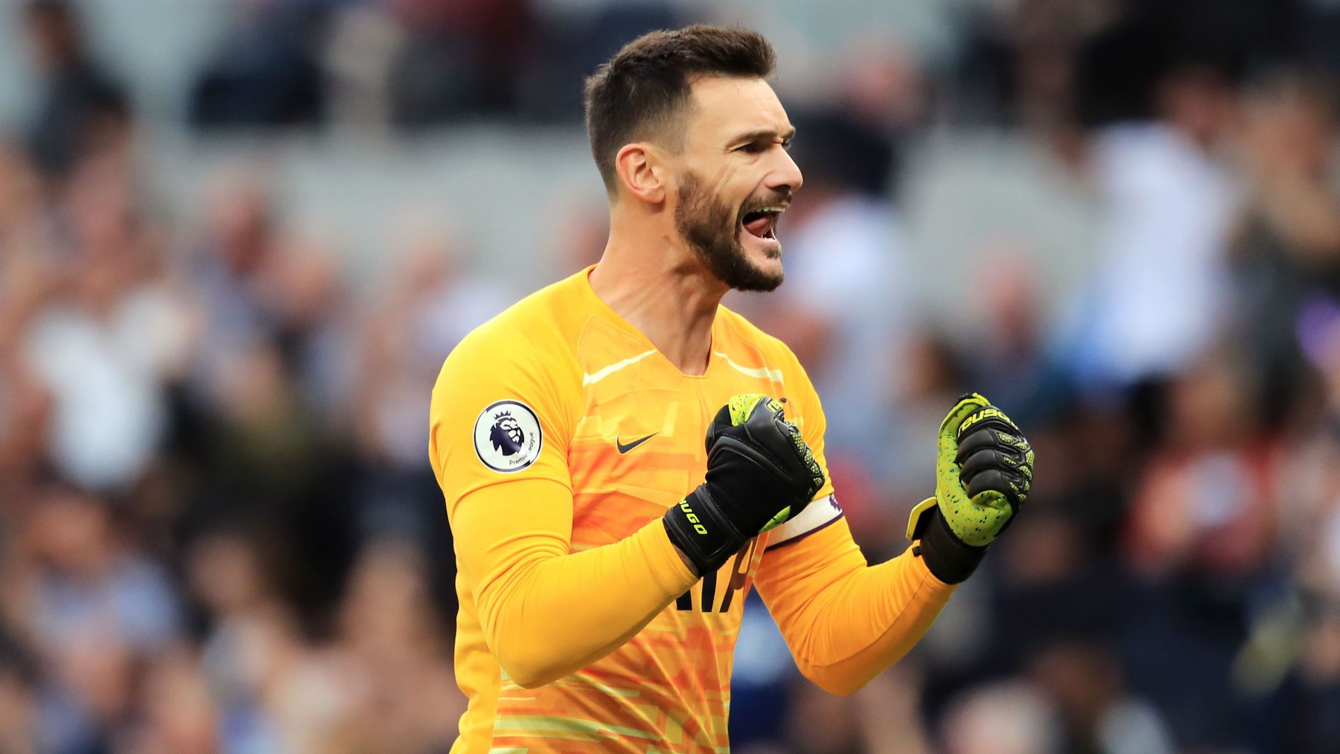 Hugo Lloris Tottenham