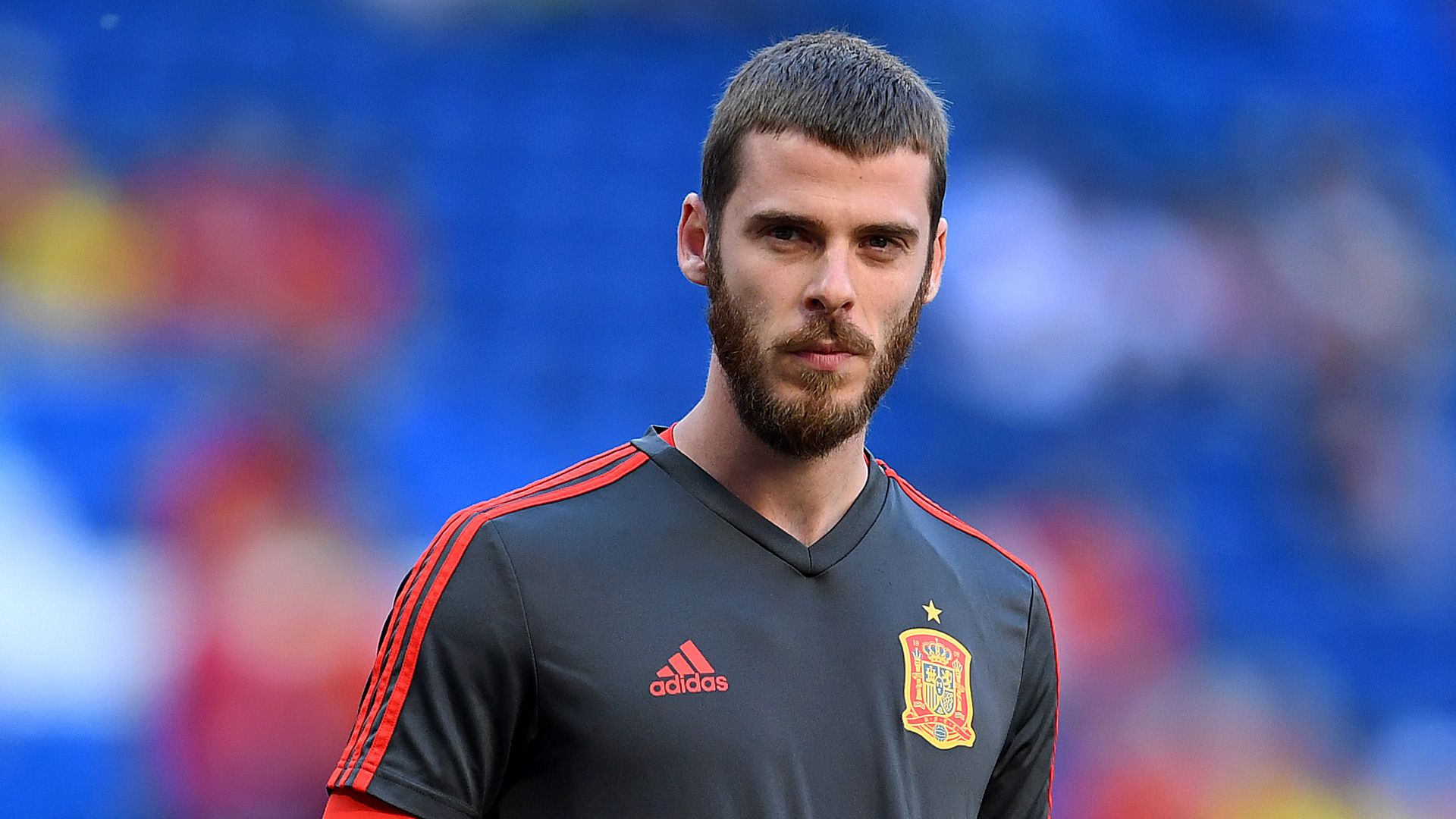 2019_6_11_degea