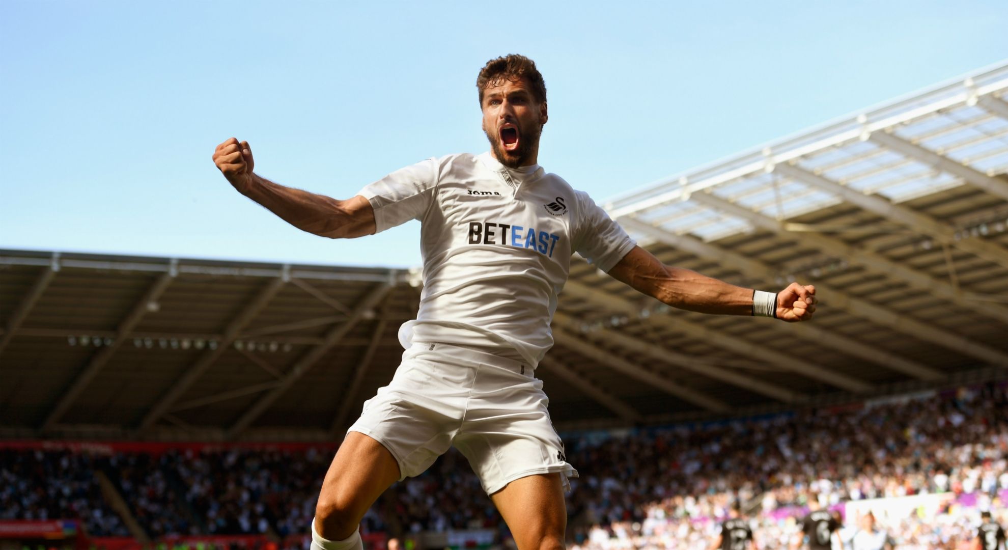 Fernando Llorente Swansea