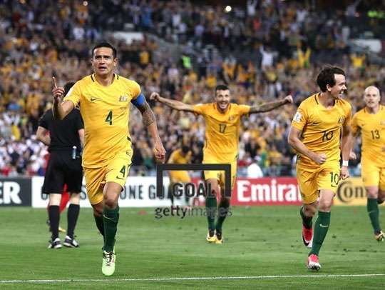 tim cahill
