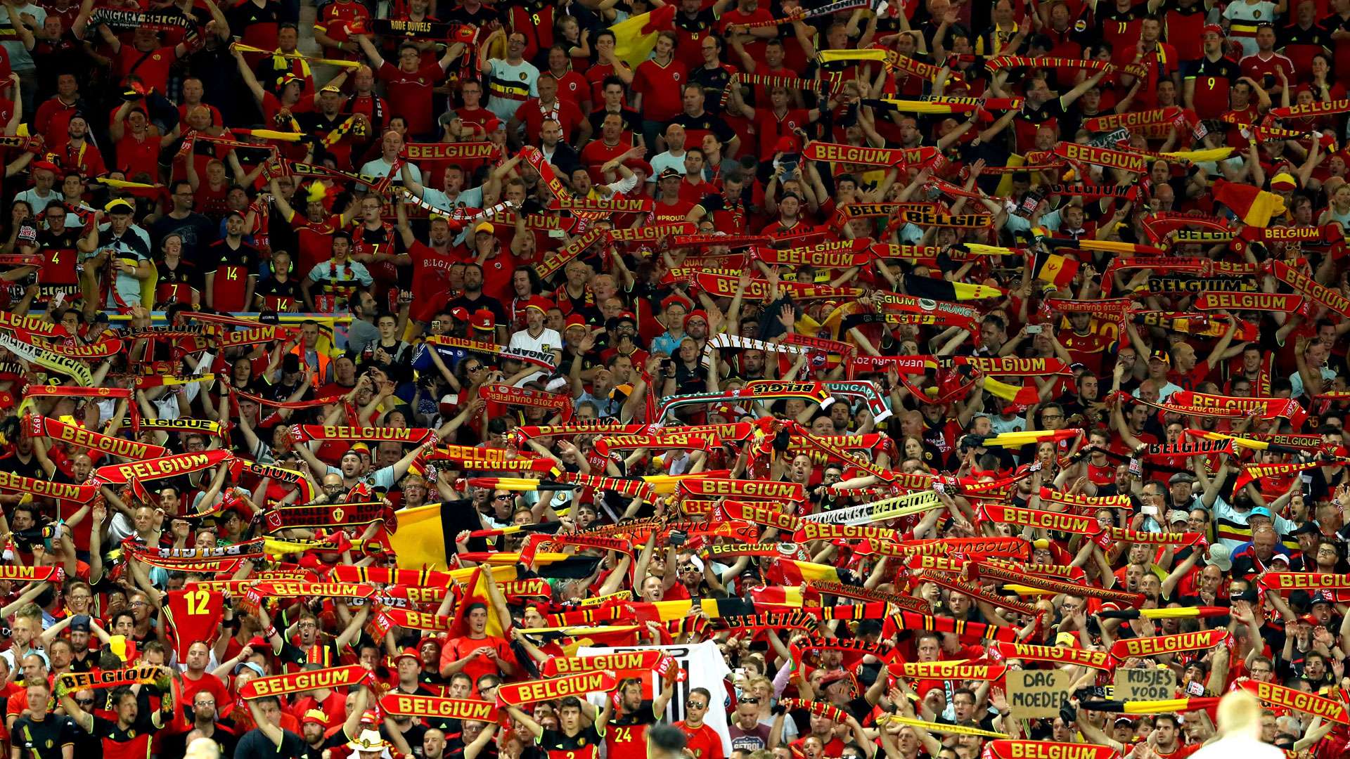 Belgien Fans 26062016