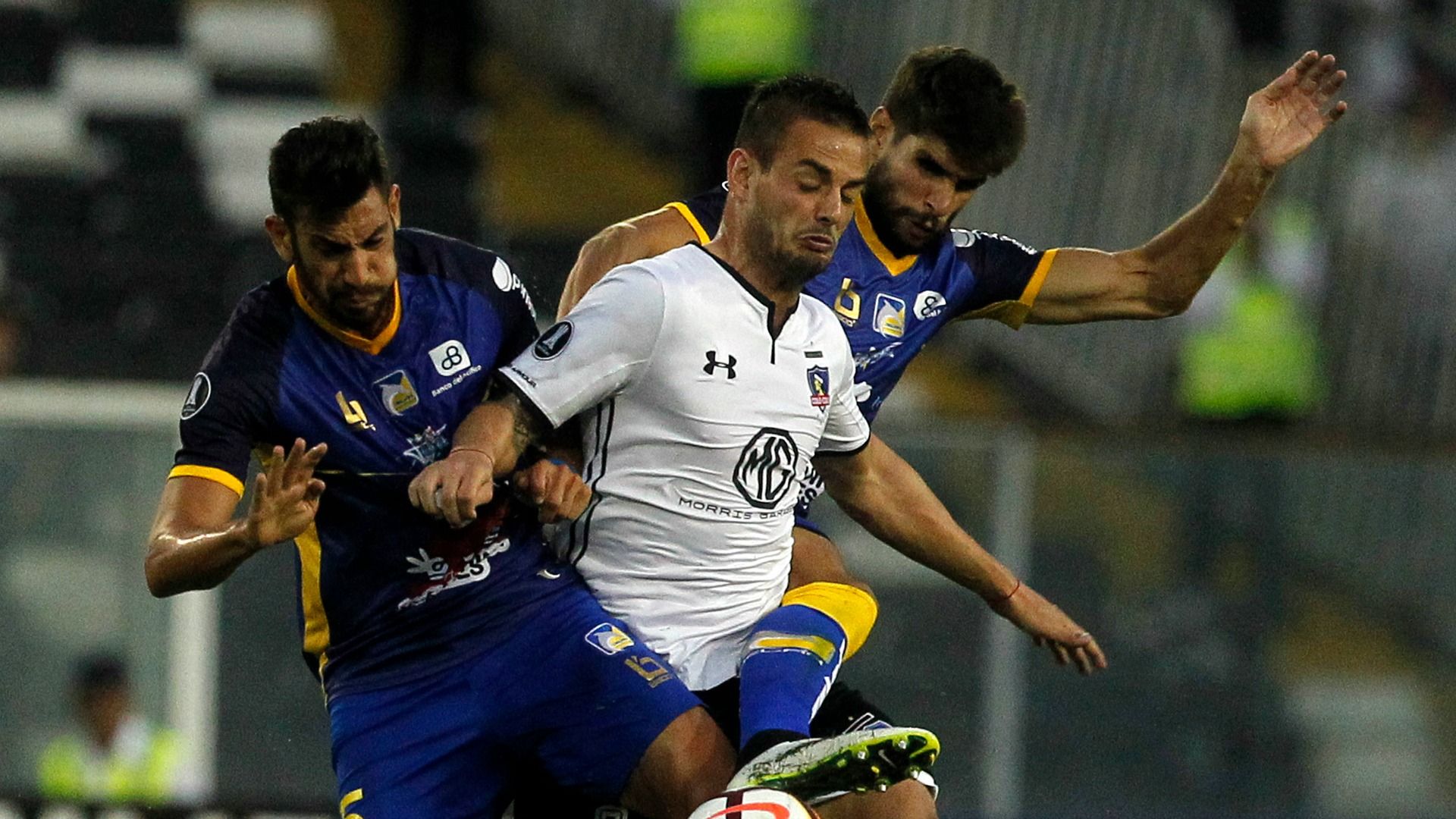 Octavio Rivero - Delfín