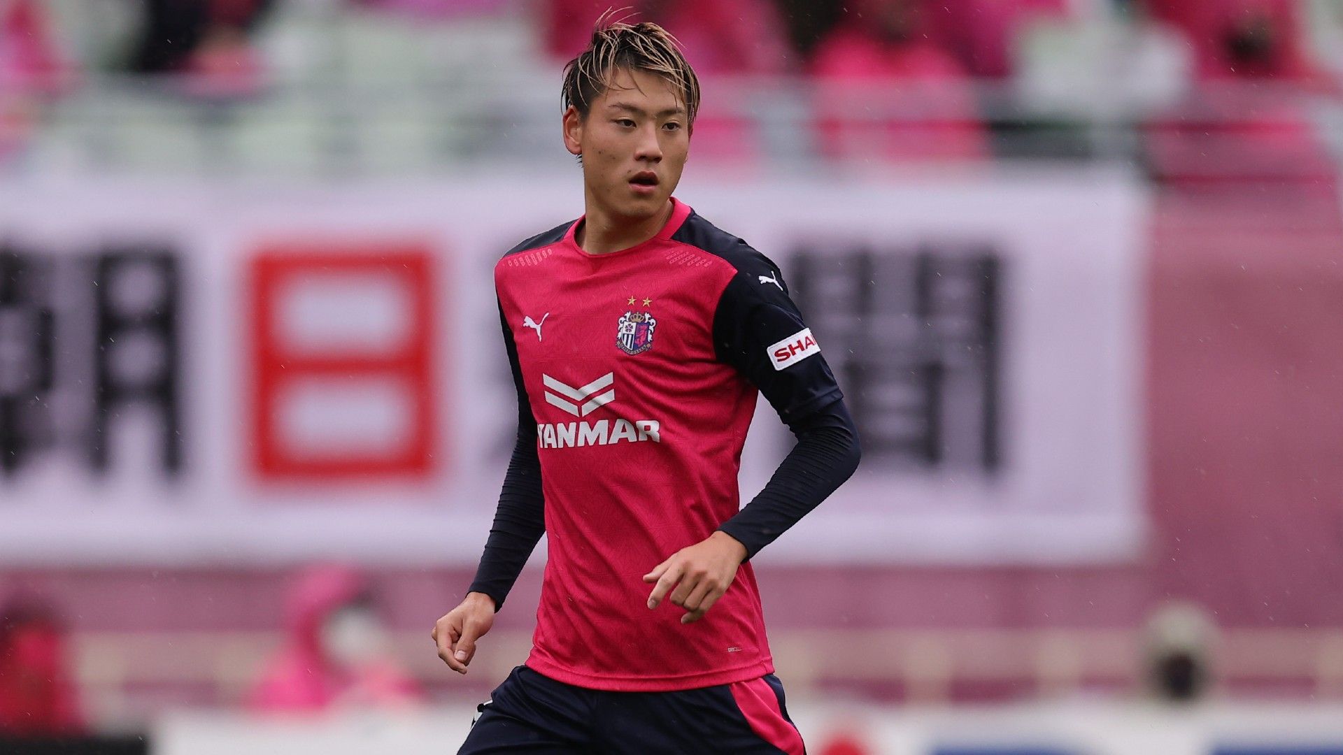 20201019-cerezo-seko