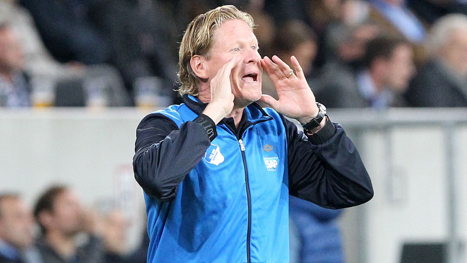 Markus Gisdol 1899 Hoffenheim Bundesliga 23092015